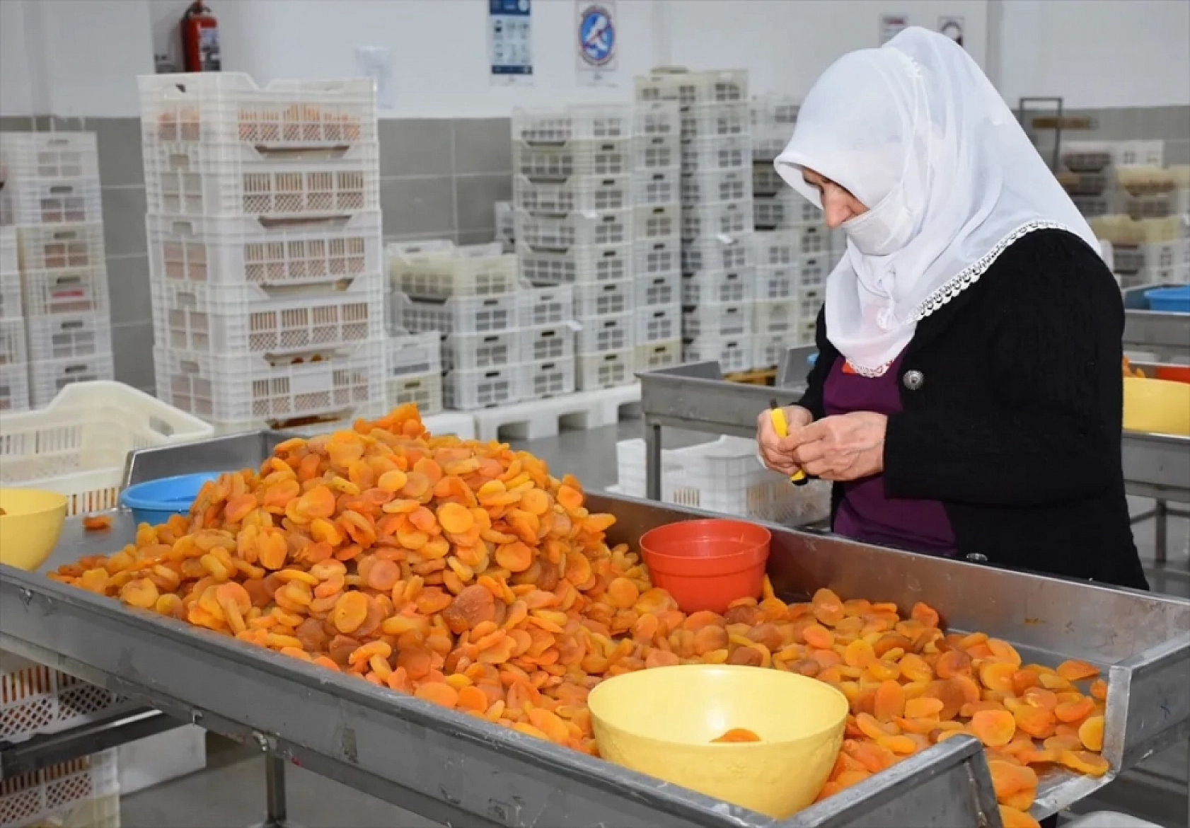 Malatya'ya Müjde! TMO Alım Yapacak! İşte Detaylar...