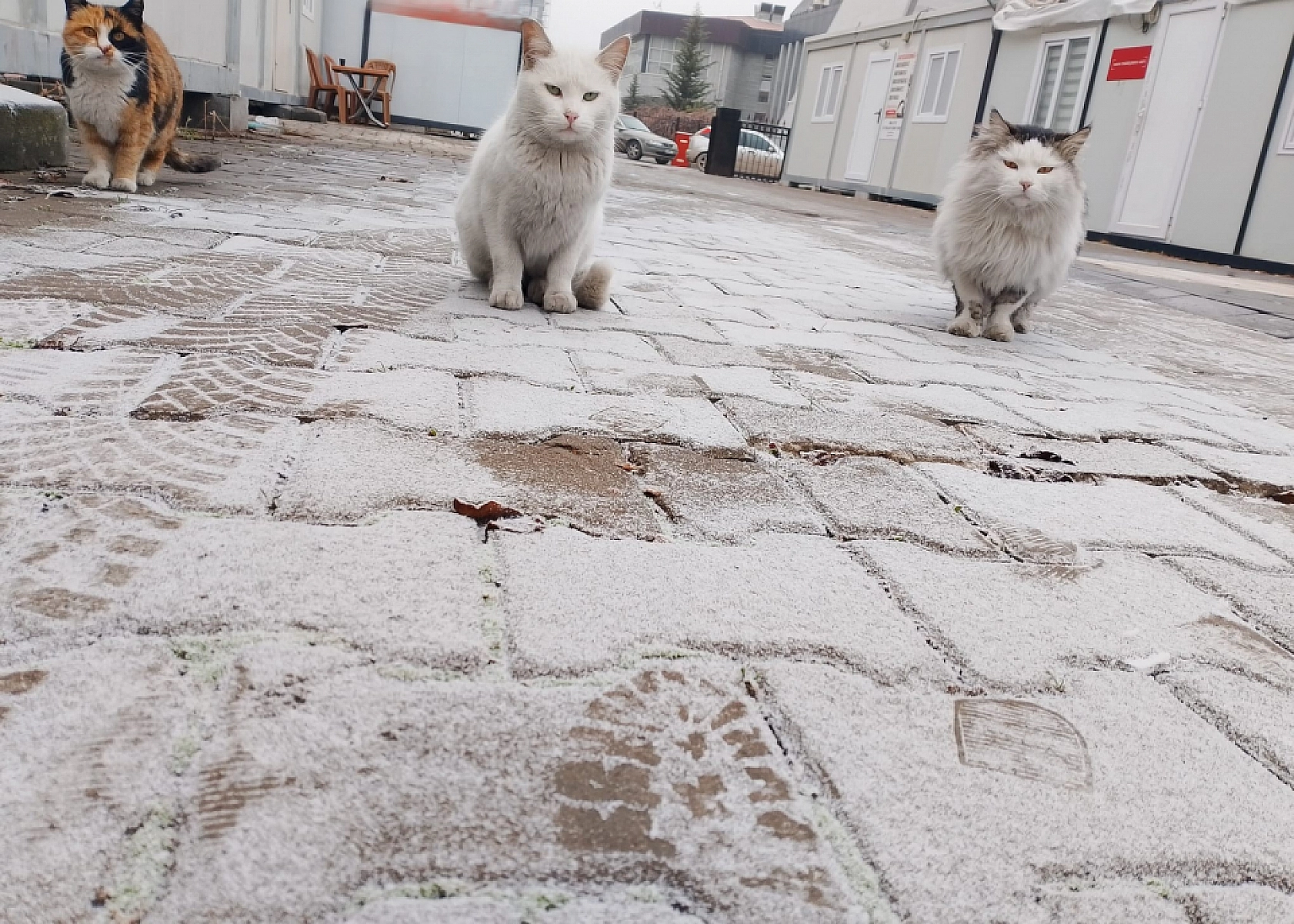 Meteoroloji Uyardı! Malatya İçin Gizli Buzlanma ve Sis Uyarısı Yapıldı…