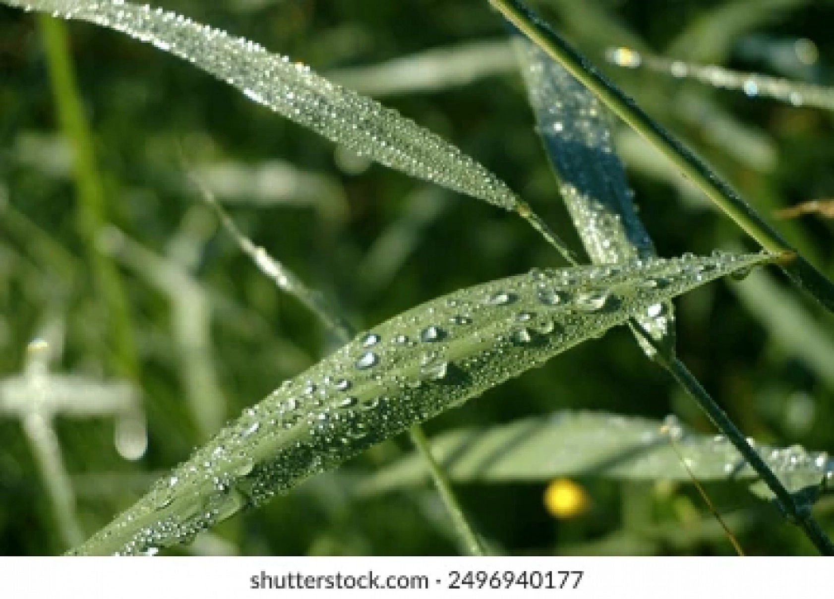 Malatya'da Soğuk Hava Etkisi Devam Ediyor! İşte Hava Durumu...
