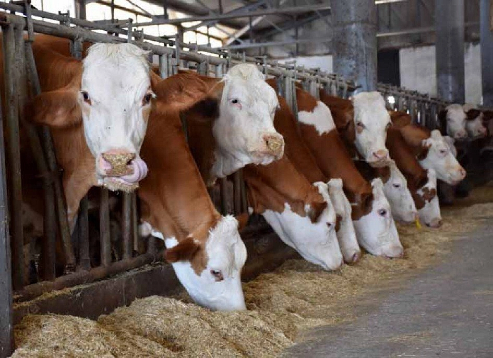 Muş'ta devlet desteğiyle 4,5 milyon liralık tesis