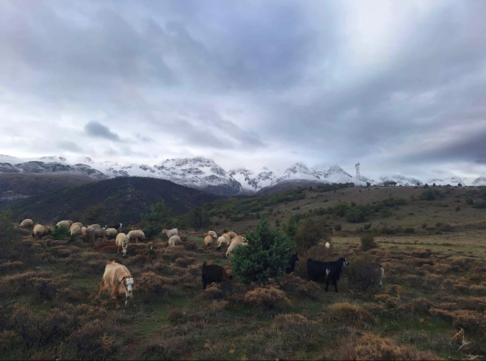 Tunceli'de Eşsiz Manzaralar Oluştu!