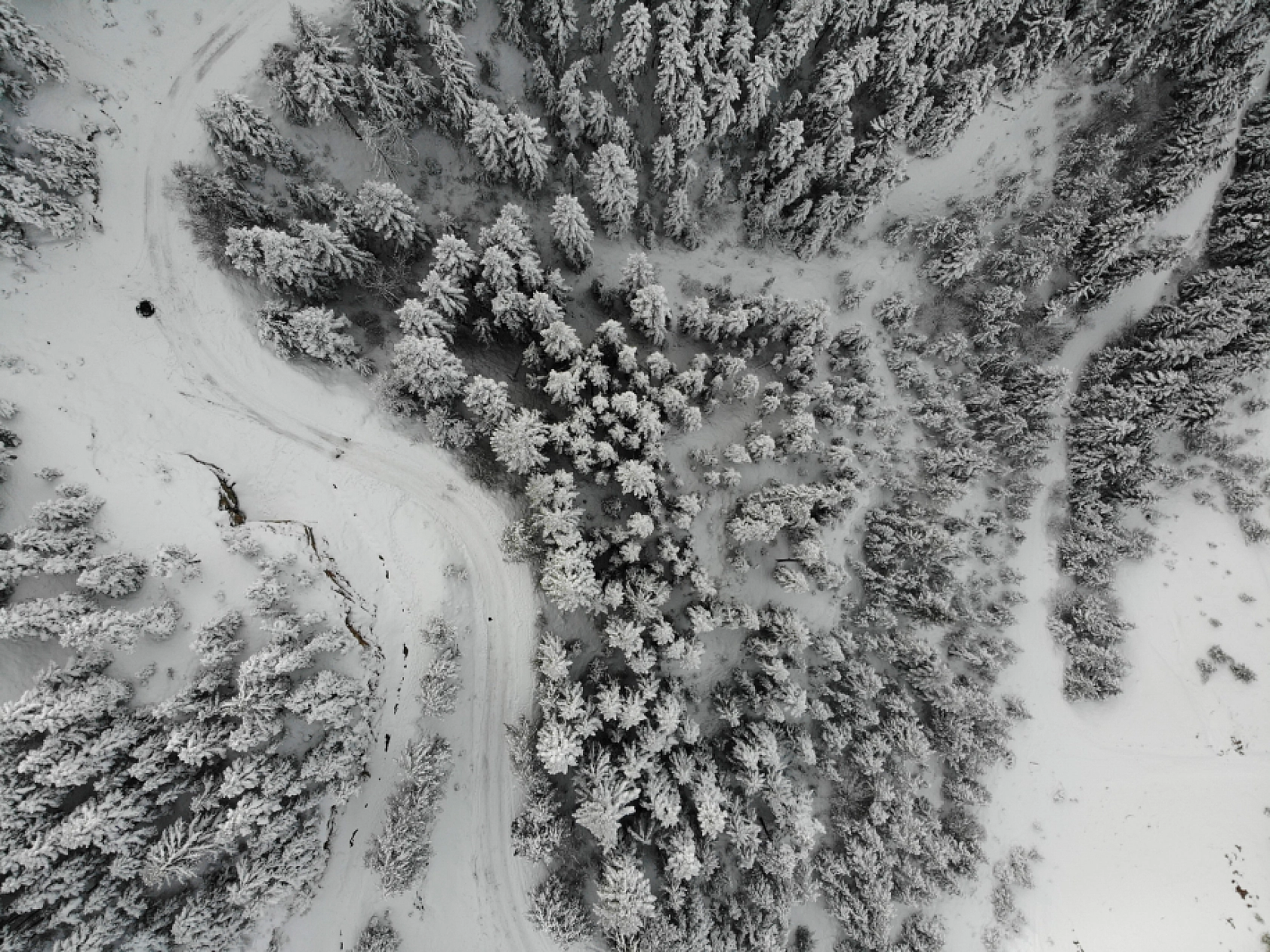 2 Bin 50 Rakımlı Zigana Dağı Beyaza Büründü