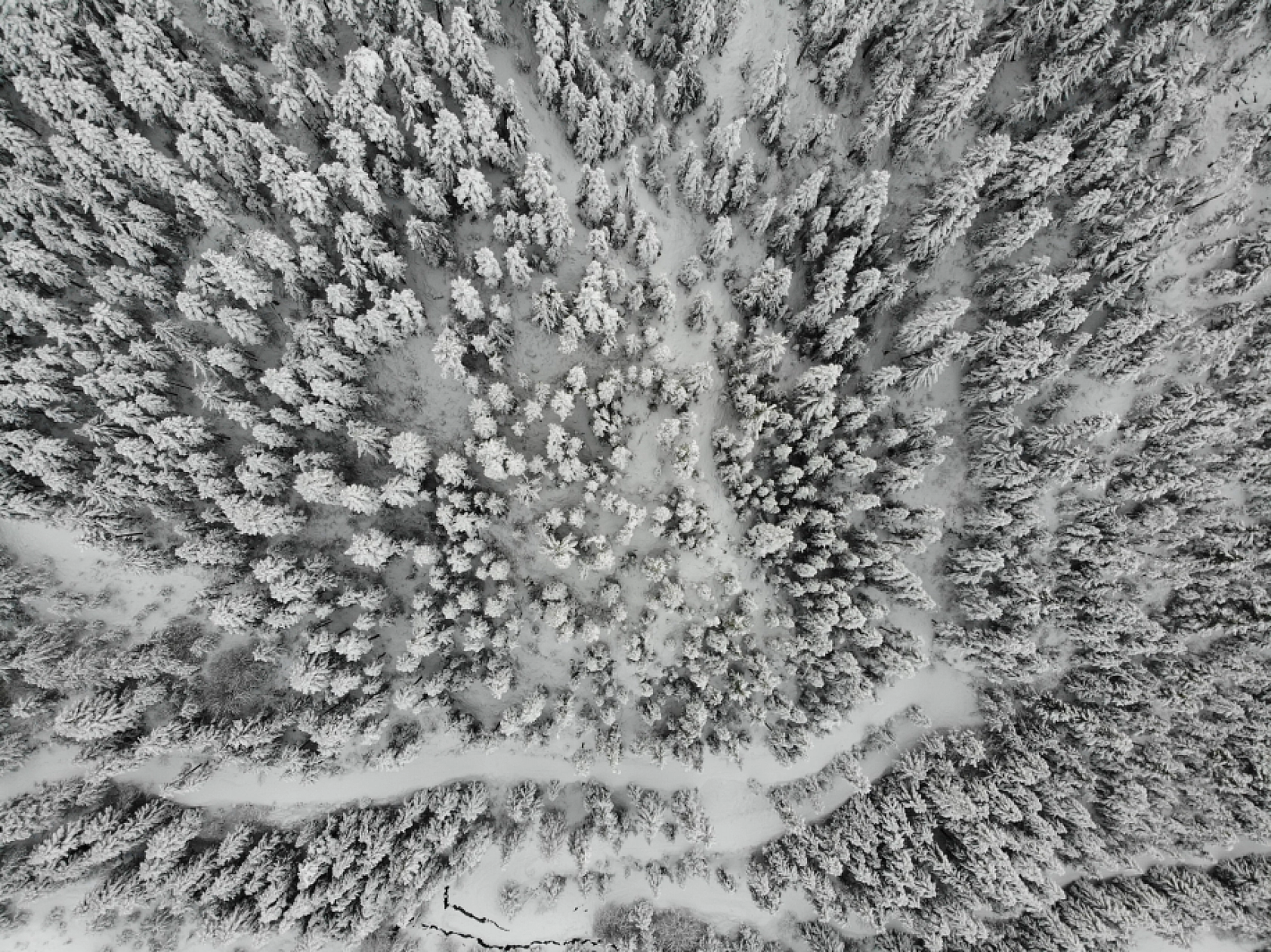 2 Bin 50 Rakımlı Zigana Dağı Beyaza Büründü