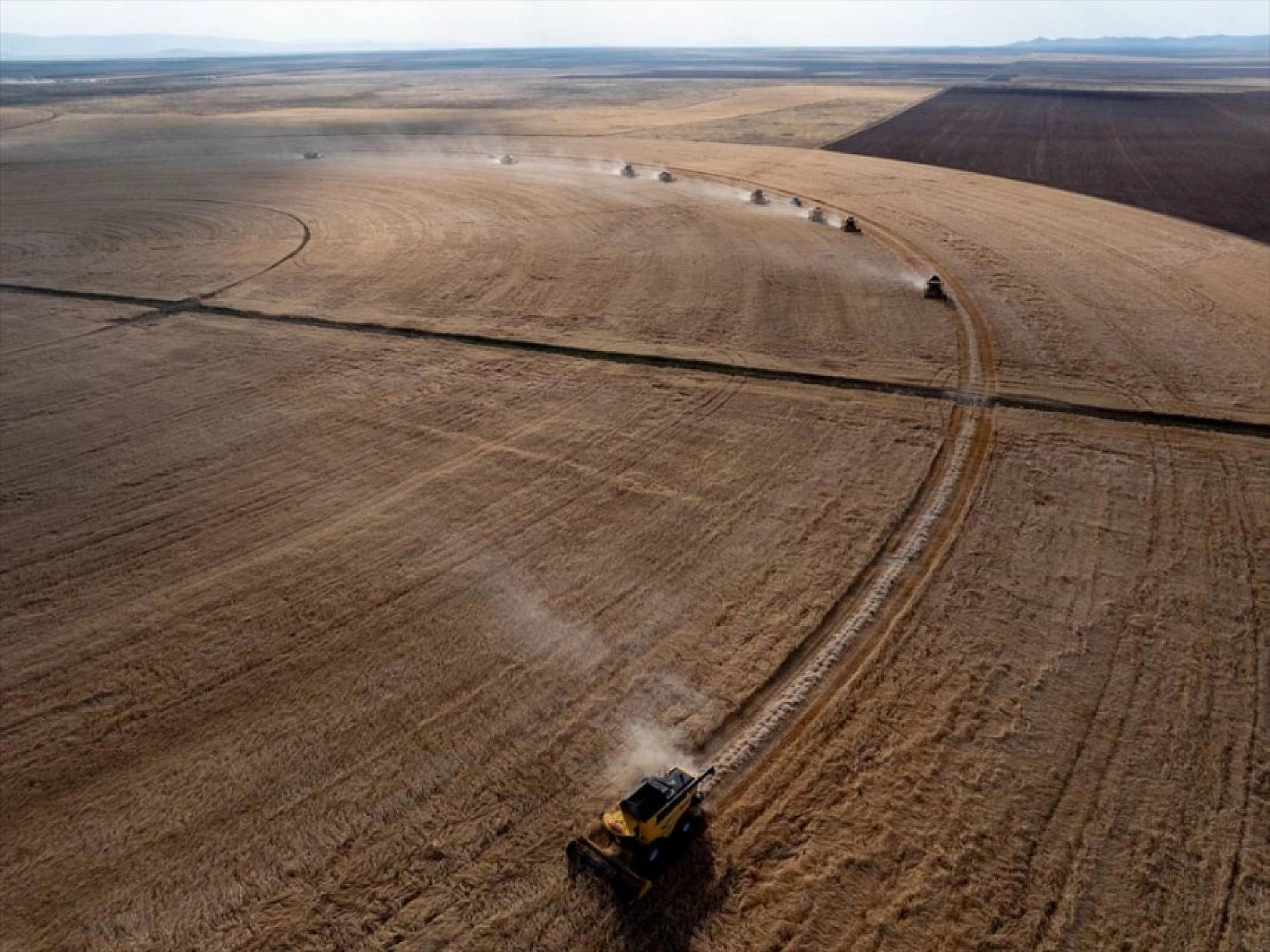 TİGEM Duyurdu: 69 Ziraat Mühendisi Alınacak!
