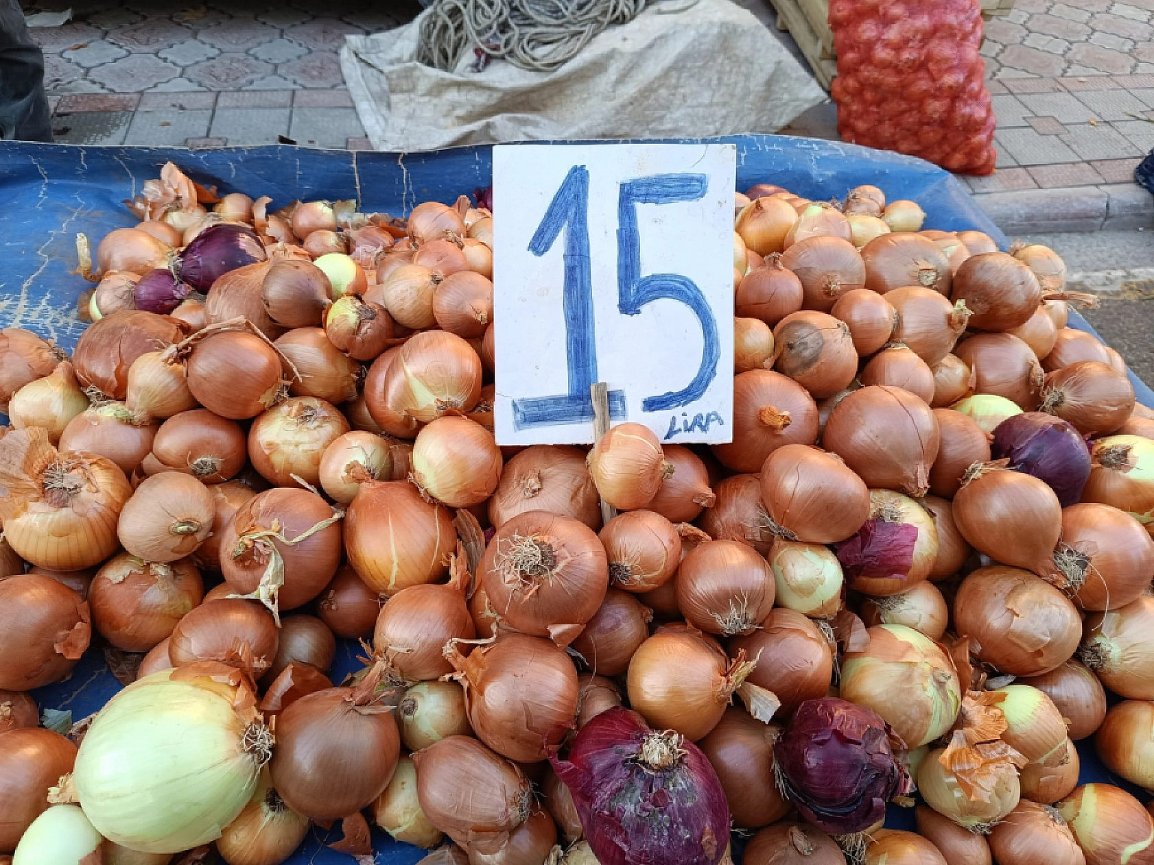 Malatya'da soğuk hava pazar fiyatını uçurdu: Domates, salatalık 50 lira…