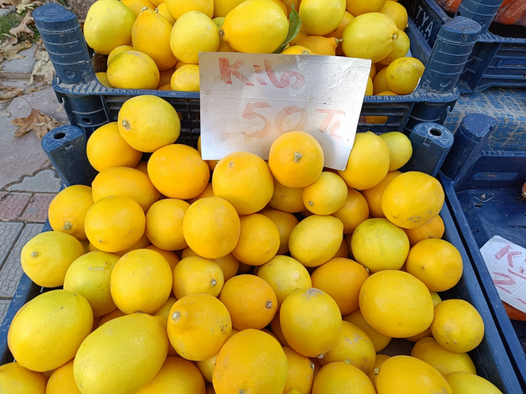 Malatya'da soğuk hava pazar fiyatını uçurdu: Domates, salatalık 50 lira…