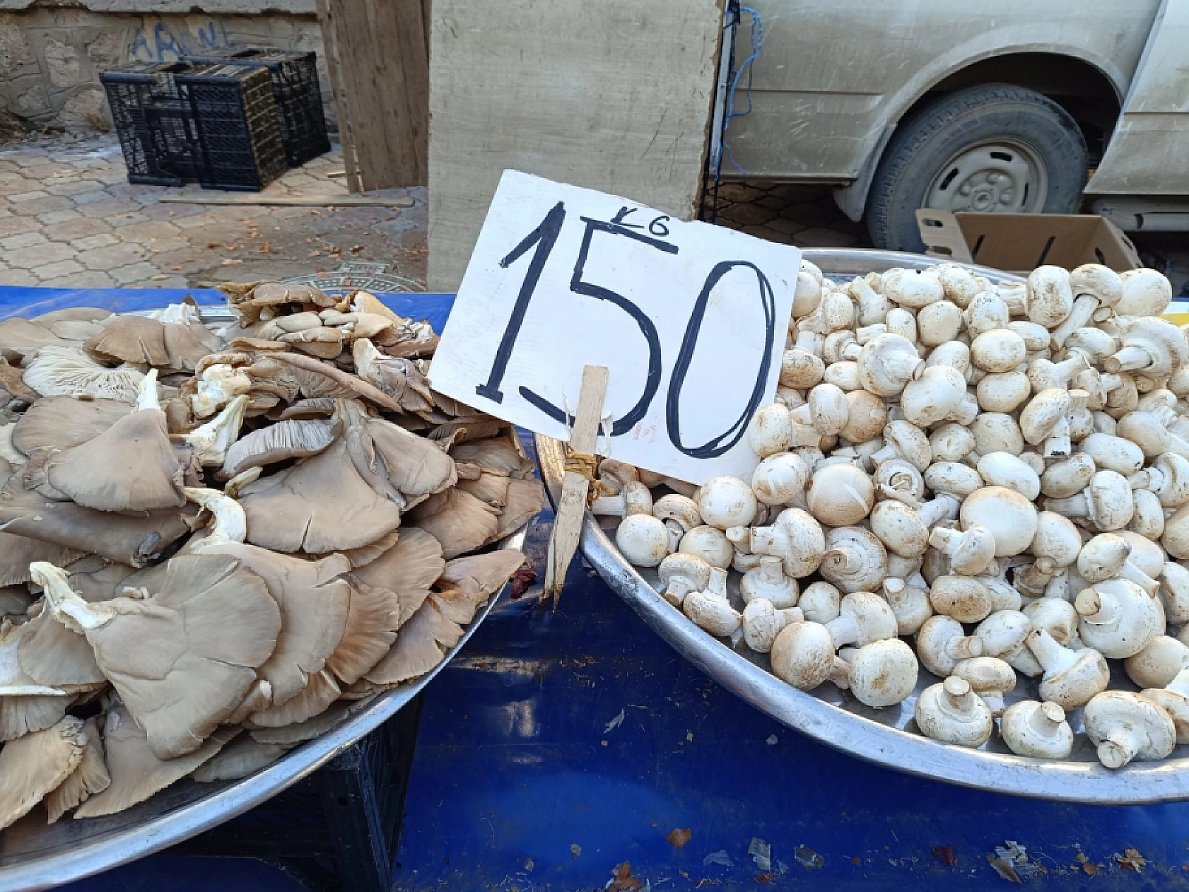 Malatya'da soğuk hava pazar fiyatını uçurdu: Domates, salatalık 50 lira…