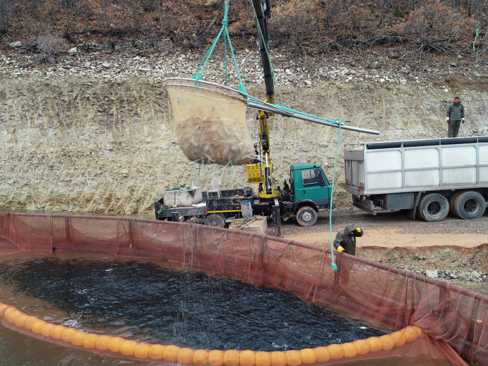 Anadolu'da yetiştirilen alabalıklar 36 ülkeye ihraç ediliyor