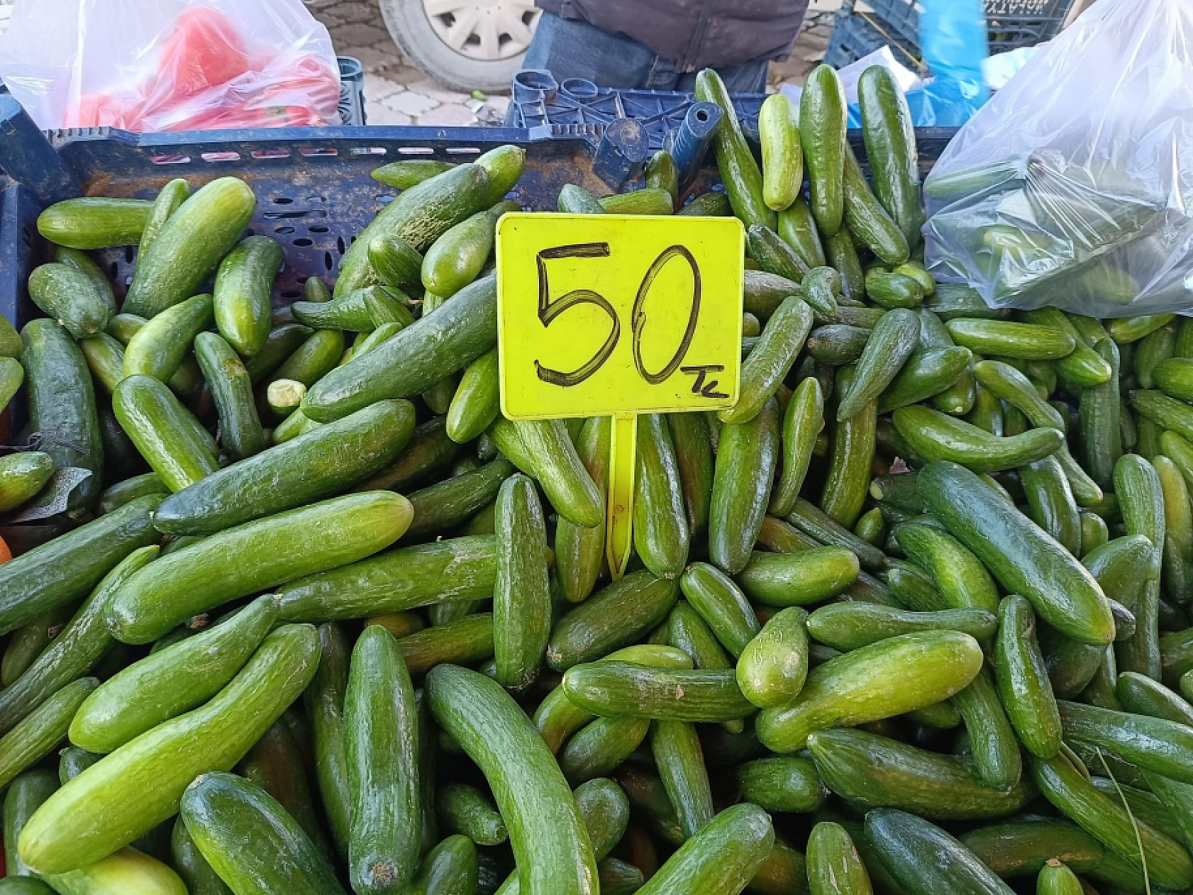 Malatya'da soğuk hava pazar fiyatını uçurdu: Domates, salatalık 50 lira…
