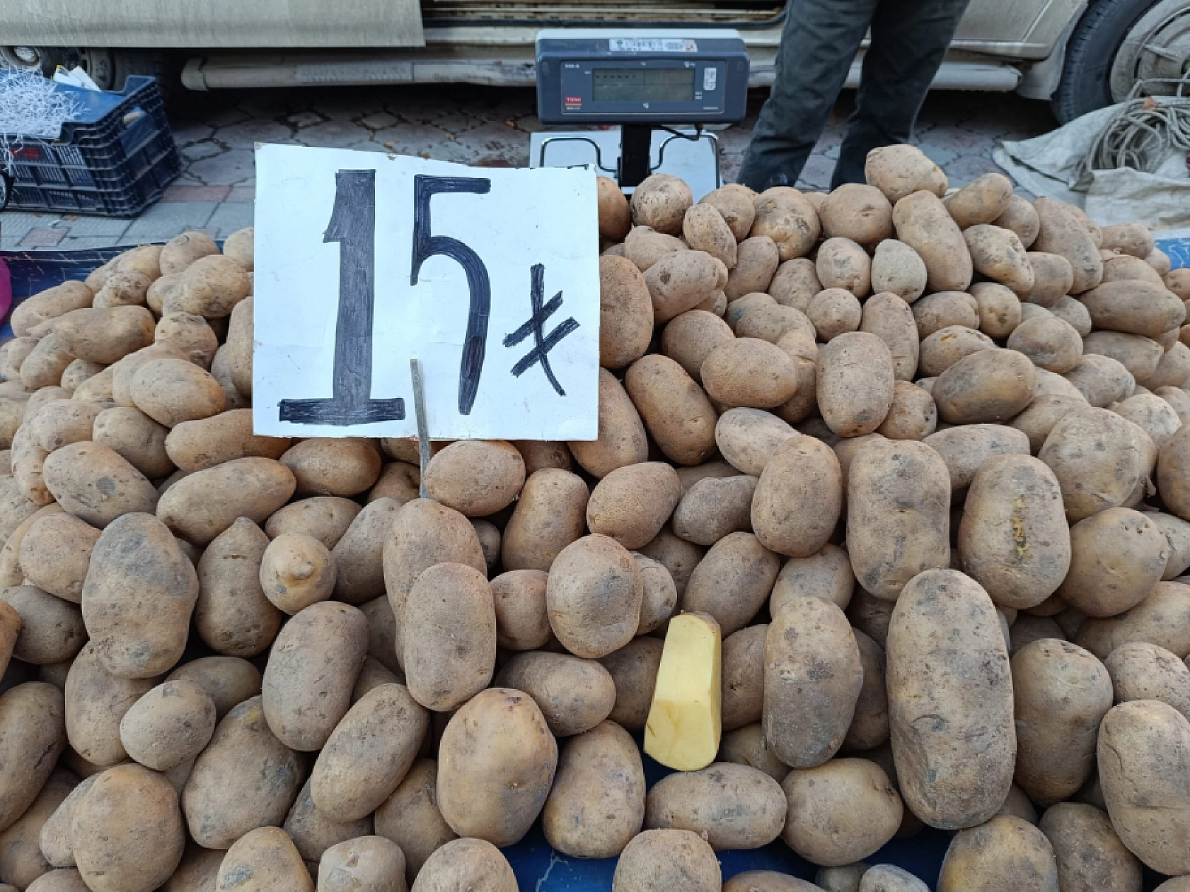 Malatya'da soğuk hava pazar fiyatını uçurdu: Domates, salatalık 50 lira…