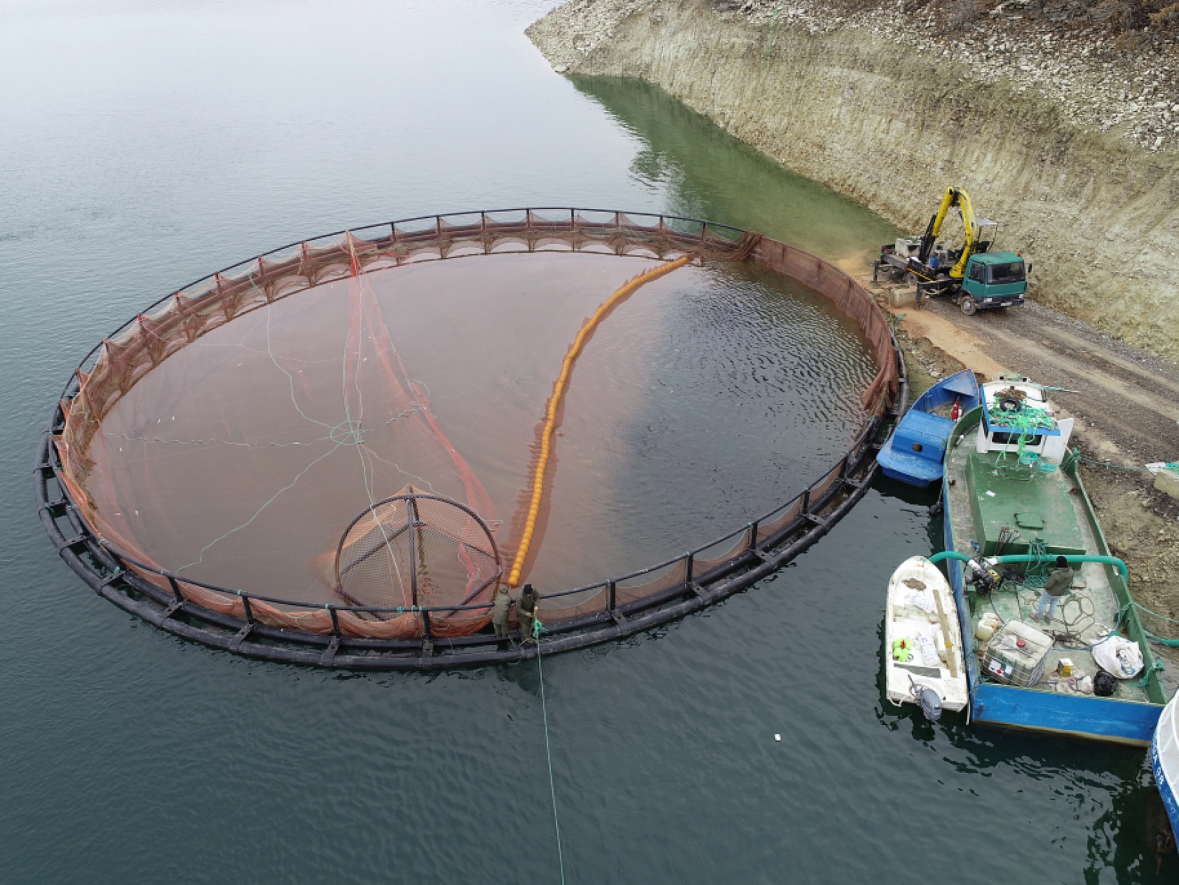 Anadolu'da yetiştirilen alabalıklar 36 ülkeye ihraç ediliyor