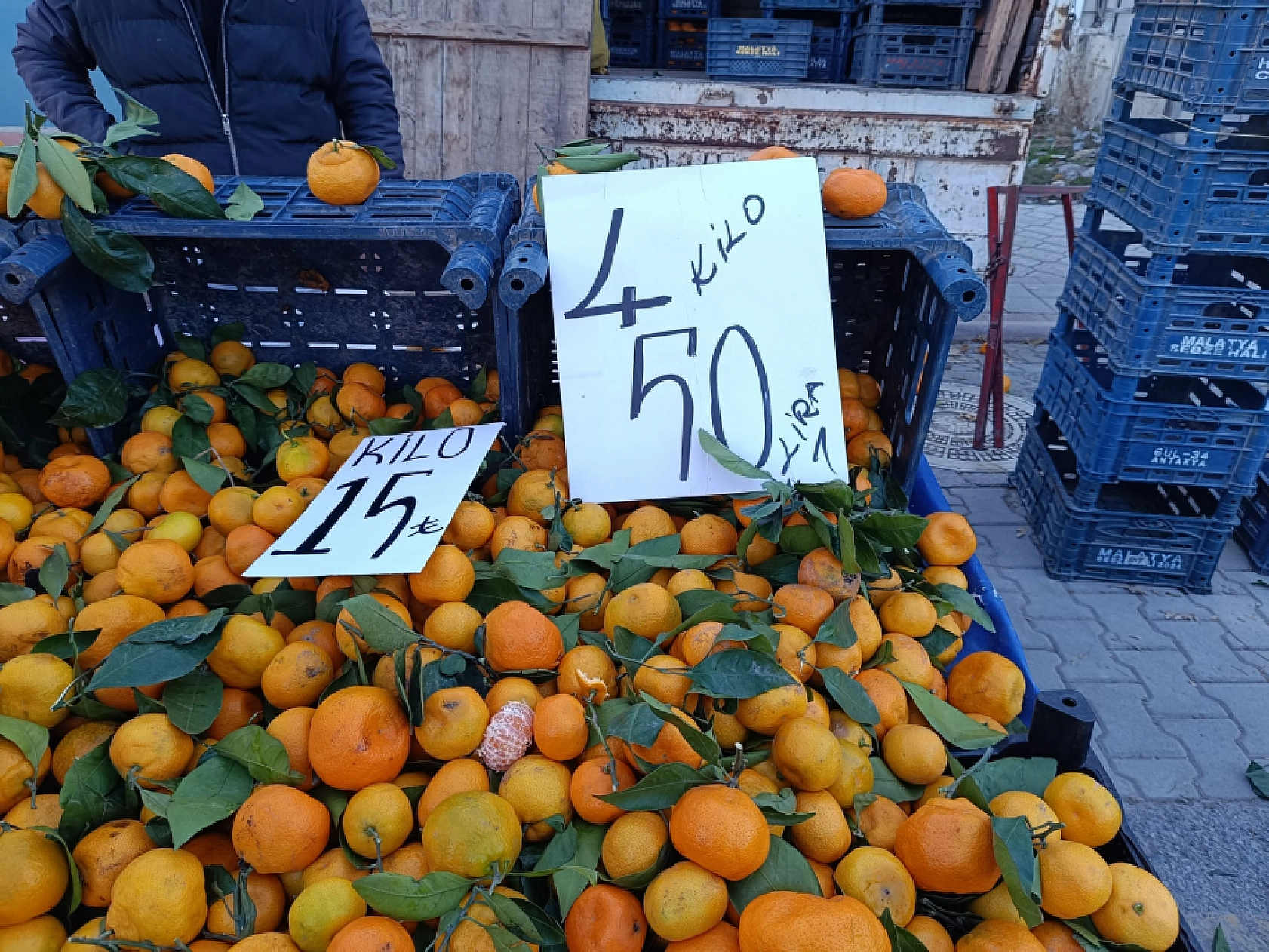 Malatya'da soğuk hava pazar fiyatını uçurdu: Domates, salatalık 50 lira…