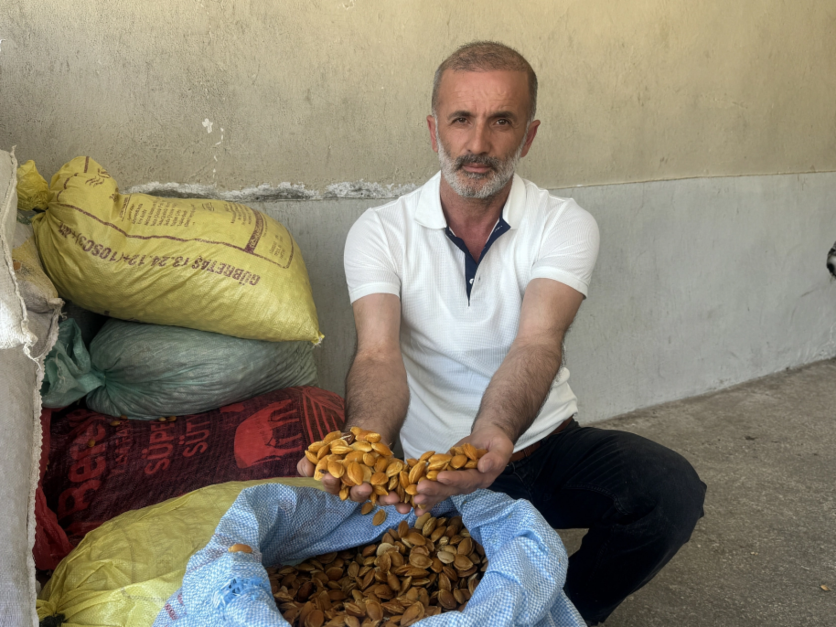 Türkiye'de Başka Örneği yok! Kayısı Çekirdeği Kabuğundan üretildi...