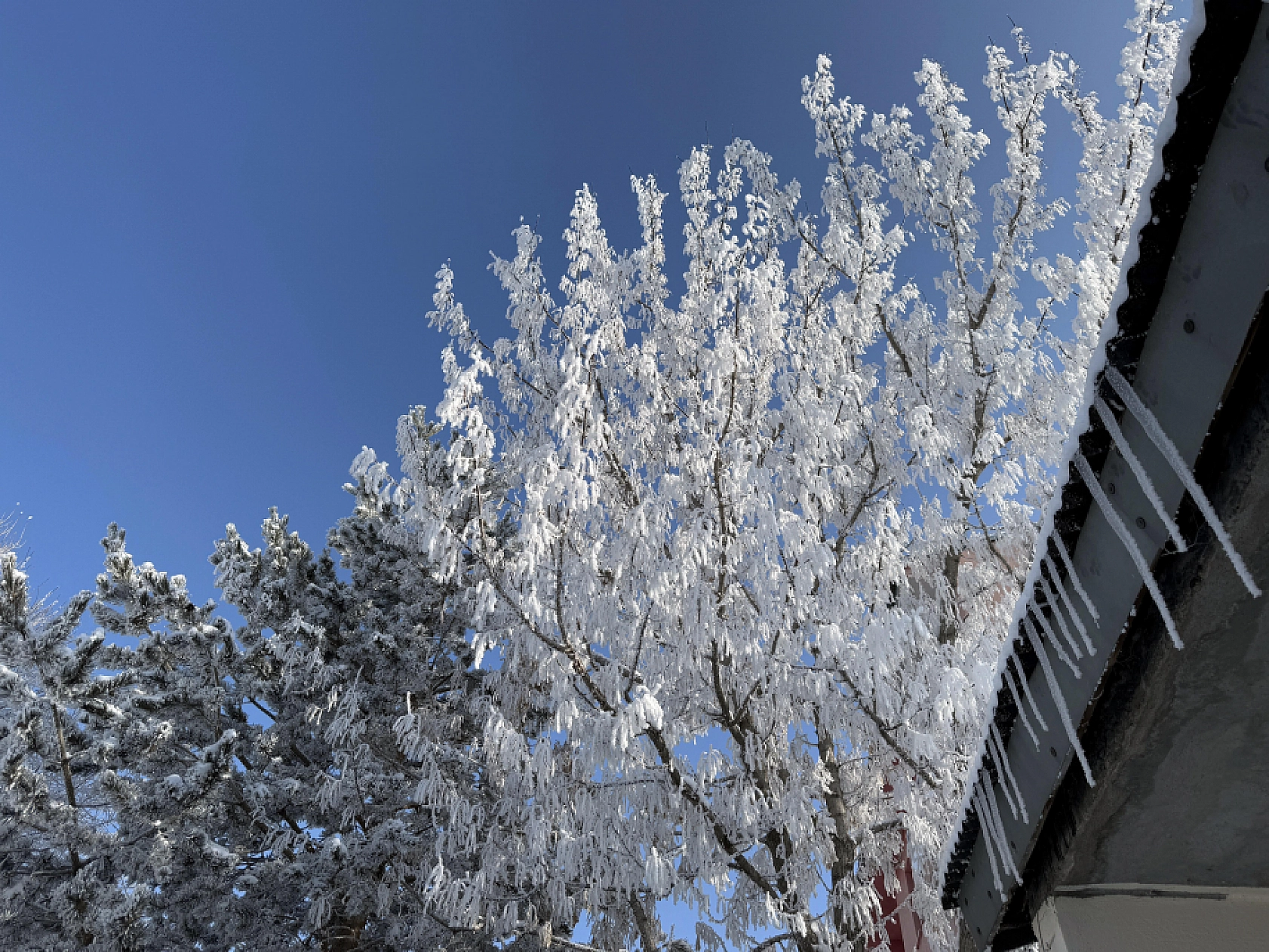 Malatya'da Karla Karışık Yağmur İçin Saat Verildi: Hazırlıklı Olun...!
