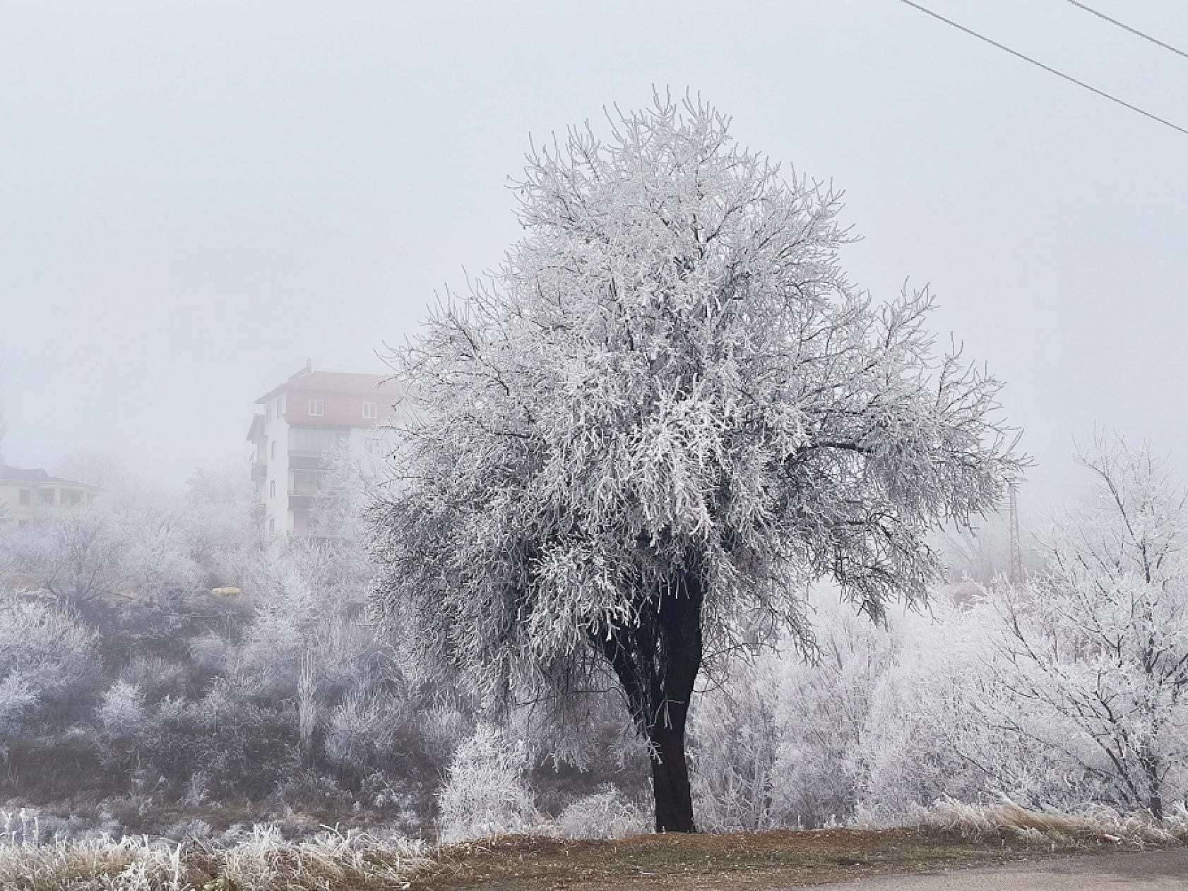 Malatya'da Kar Yağışı Yeniden Etkili Oluyor: Peki Kar Yağışı Kaç Gün Sürecek?