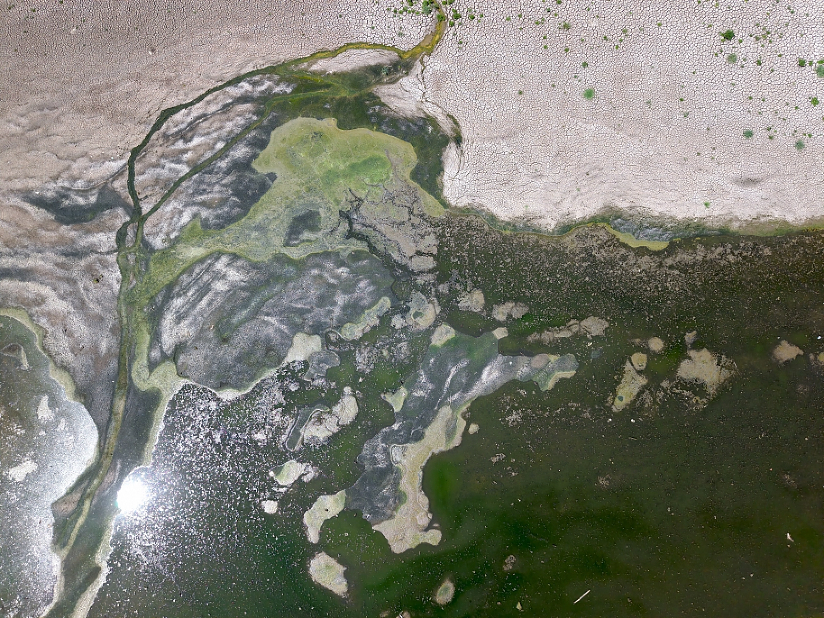 Malatya'da kuraklık alarm veriyor! Yağışlarda yüzde 25-35 azalma, buharlaşmada yüzde 15 artış!