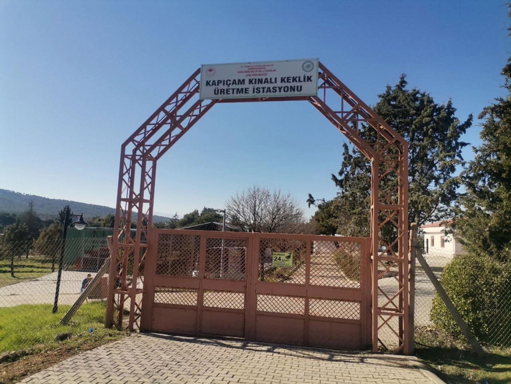 Türkiye'nin ilk istasyonunda üretiliyor! Yakında doğaya salınacak..!