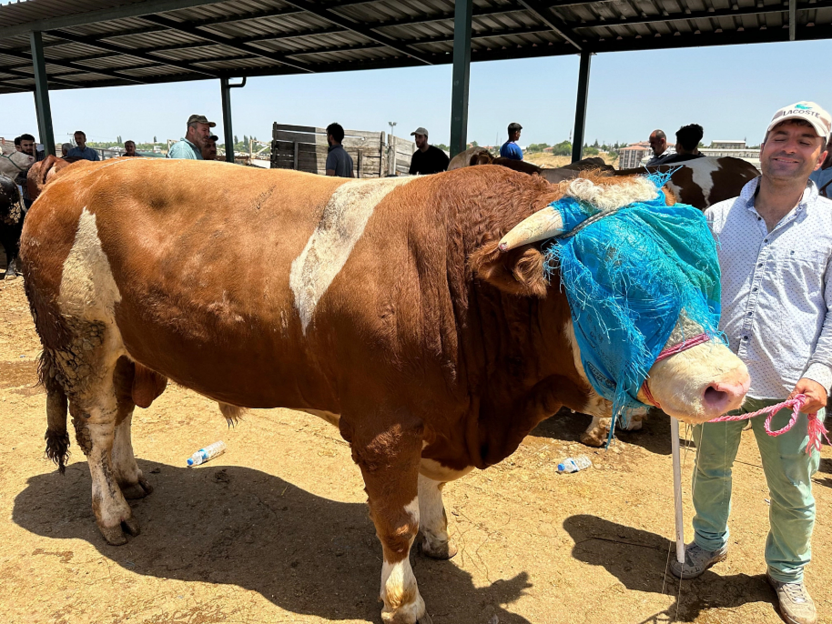 Malatyalılar Oraya Akın Etti! Sıkı Sıkıya Pazarlıklar Başladı..!