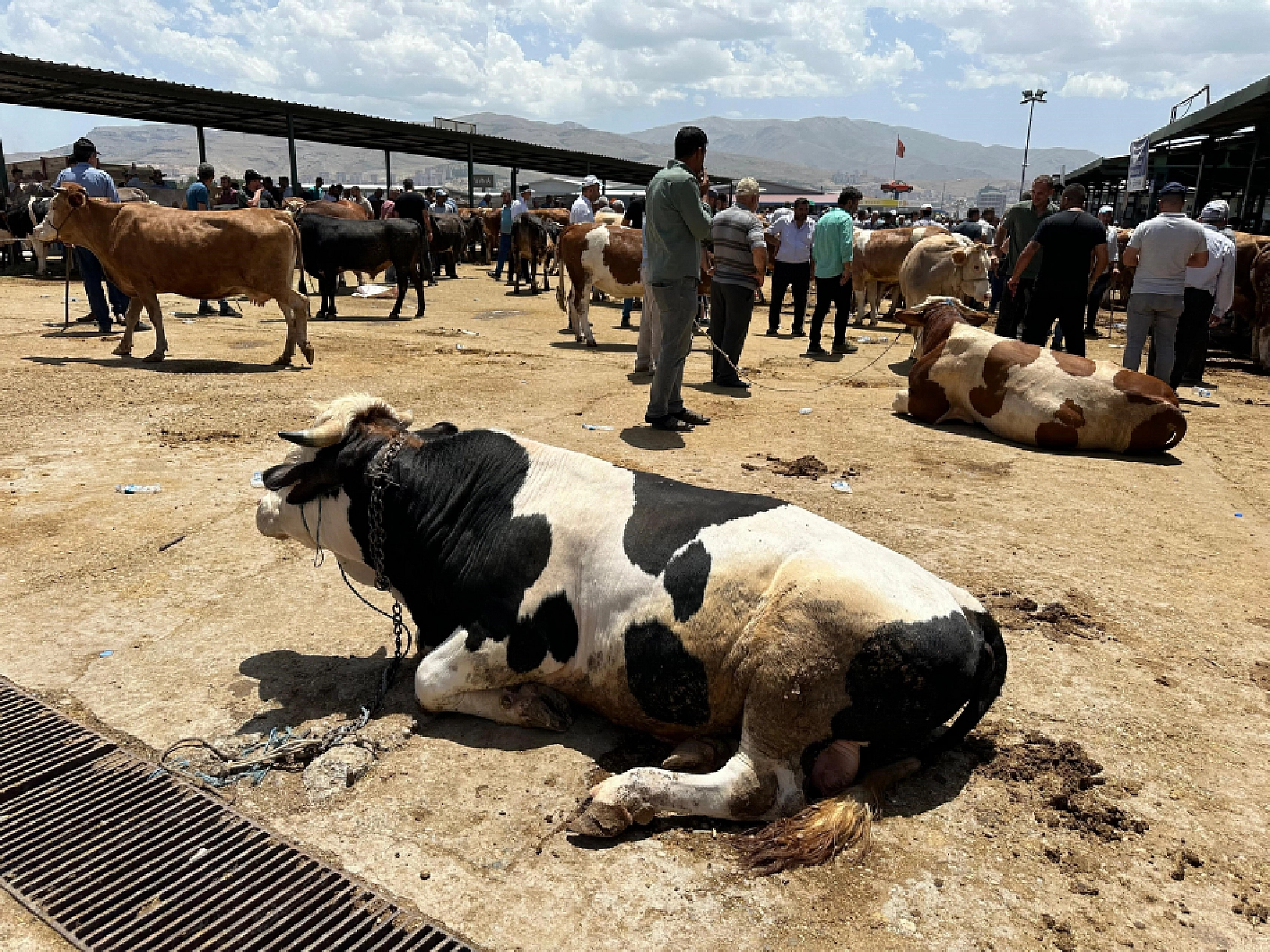 Malatyalılar Oraya Akın Etti! Sıkı Sıkıya Pazarlıklar Başladı..!