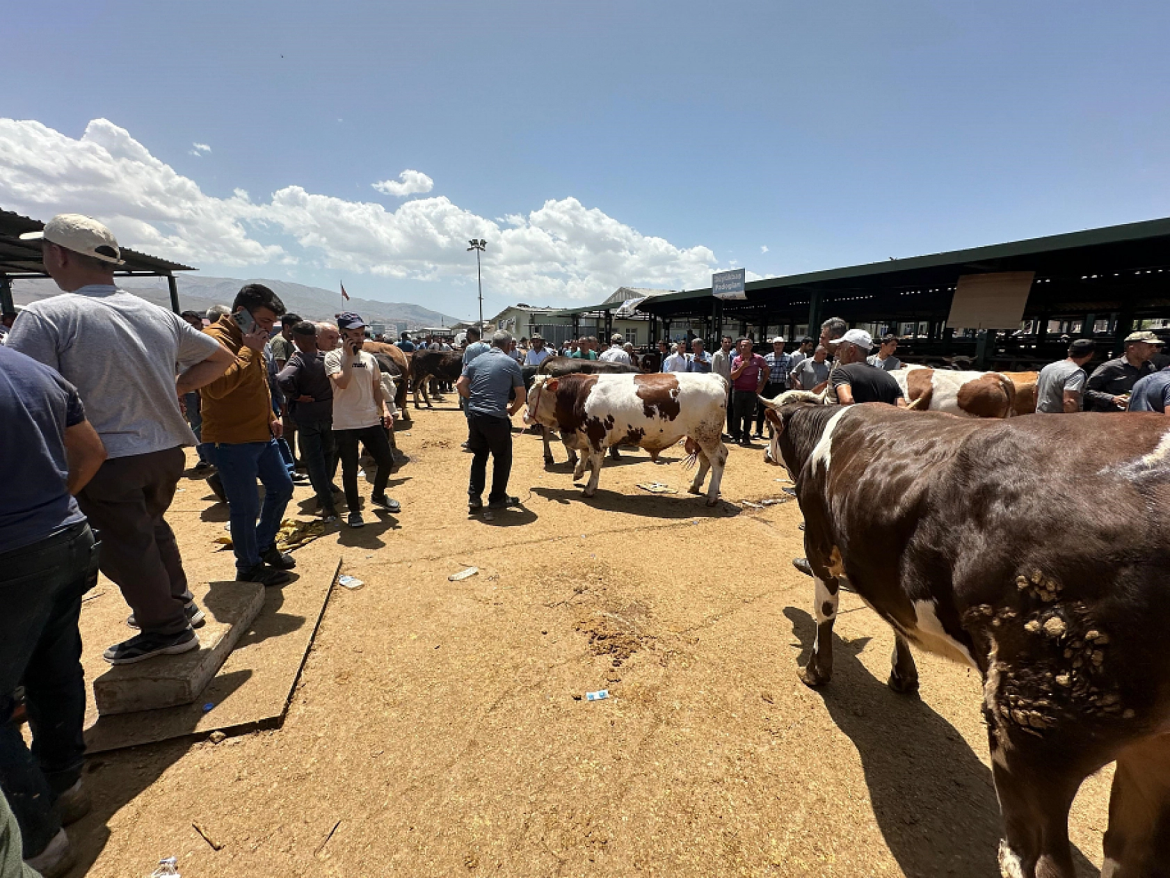 Malatyalılar Oraya Akın Etti! Sıkı Sıkıya Pazarlıklar Başladı..!