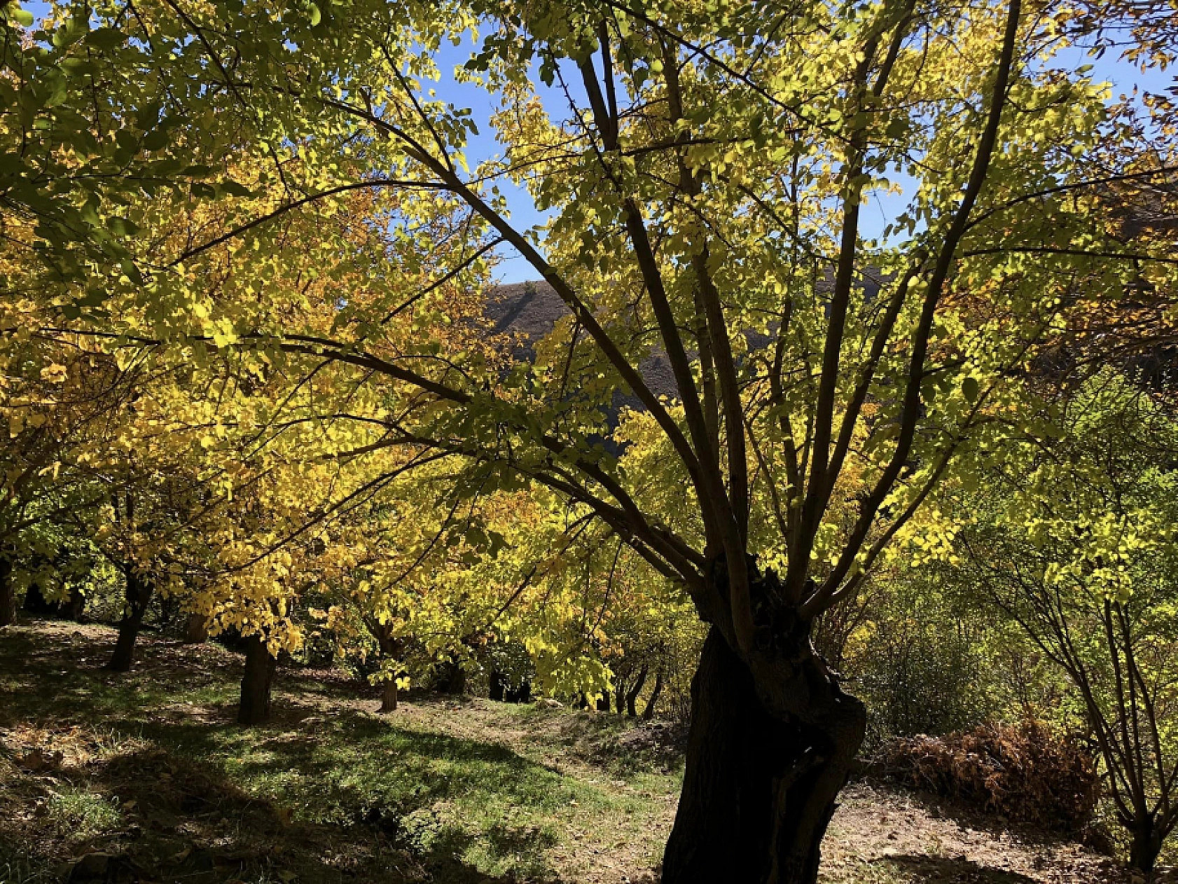Malatya'nın Saklı Cenneti Arapgir, Her Mevsim Büyülüyor!