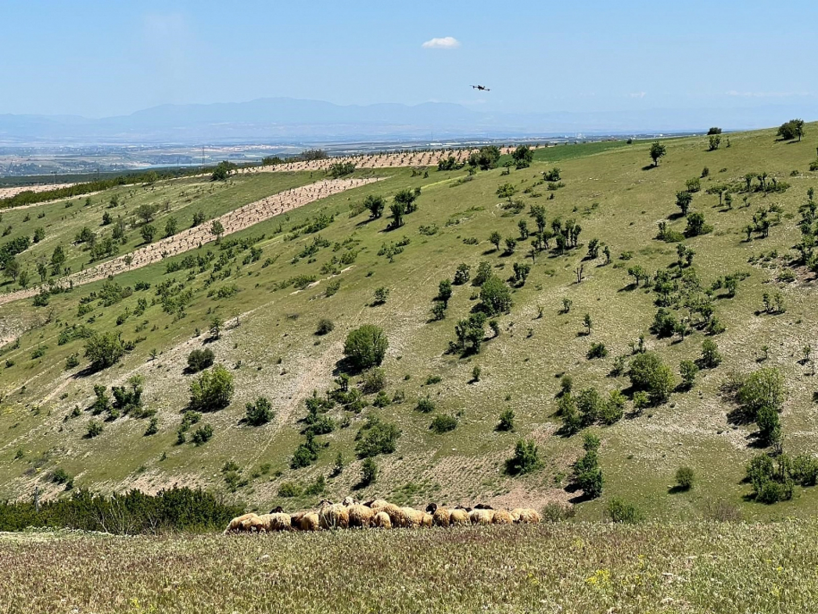 Malatyalıların yayla serüveni başladı