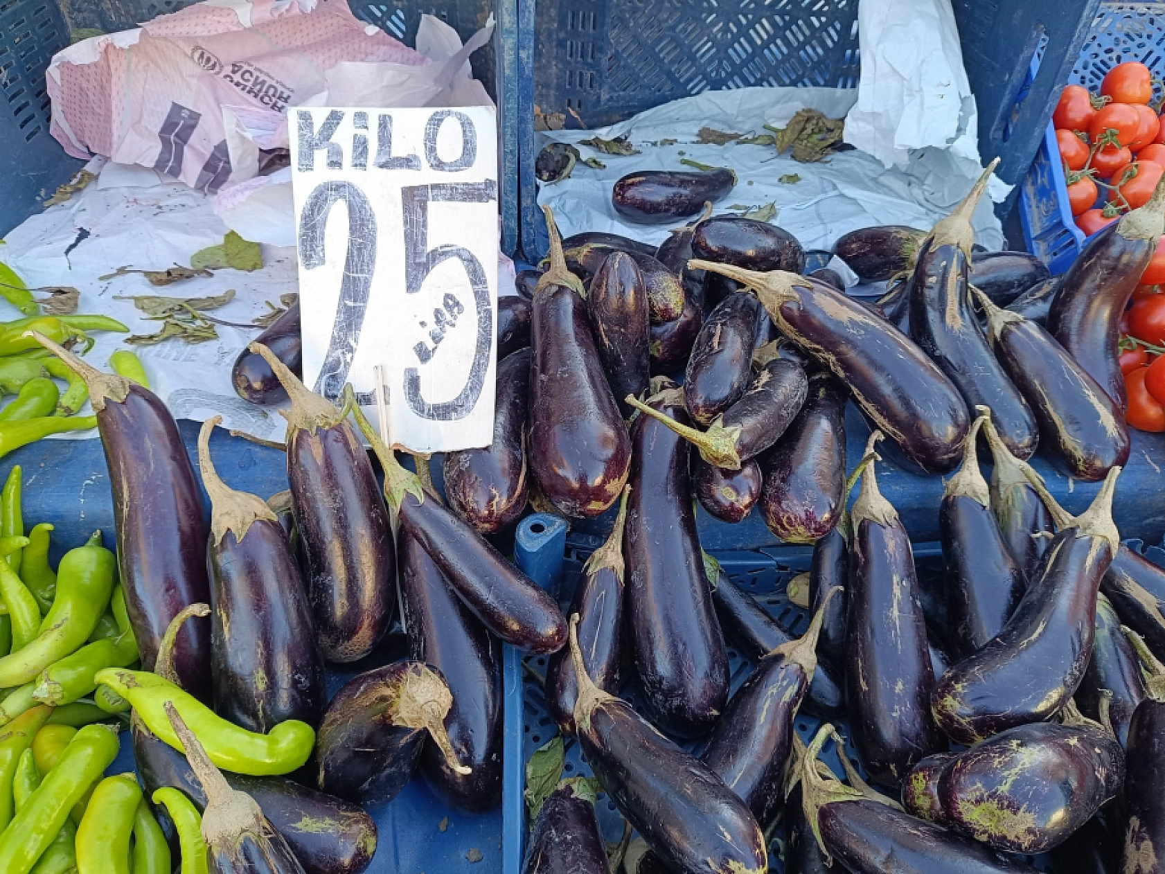 Malatya'da soğuk hava pazar fiyatını uçurdu: Domates, salatalık 50 lira…