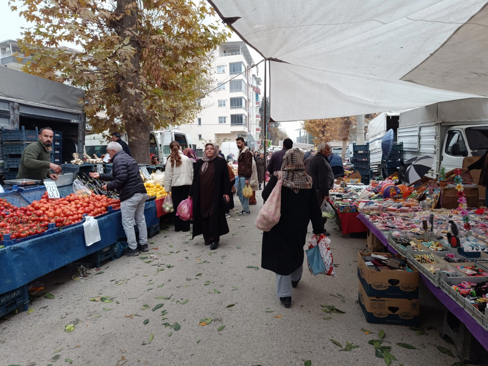 Malatya'da soğuk hava pazar fiyatını etkiledi: Sebze ve meyve cep yaktı!