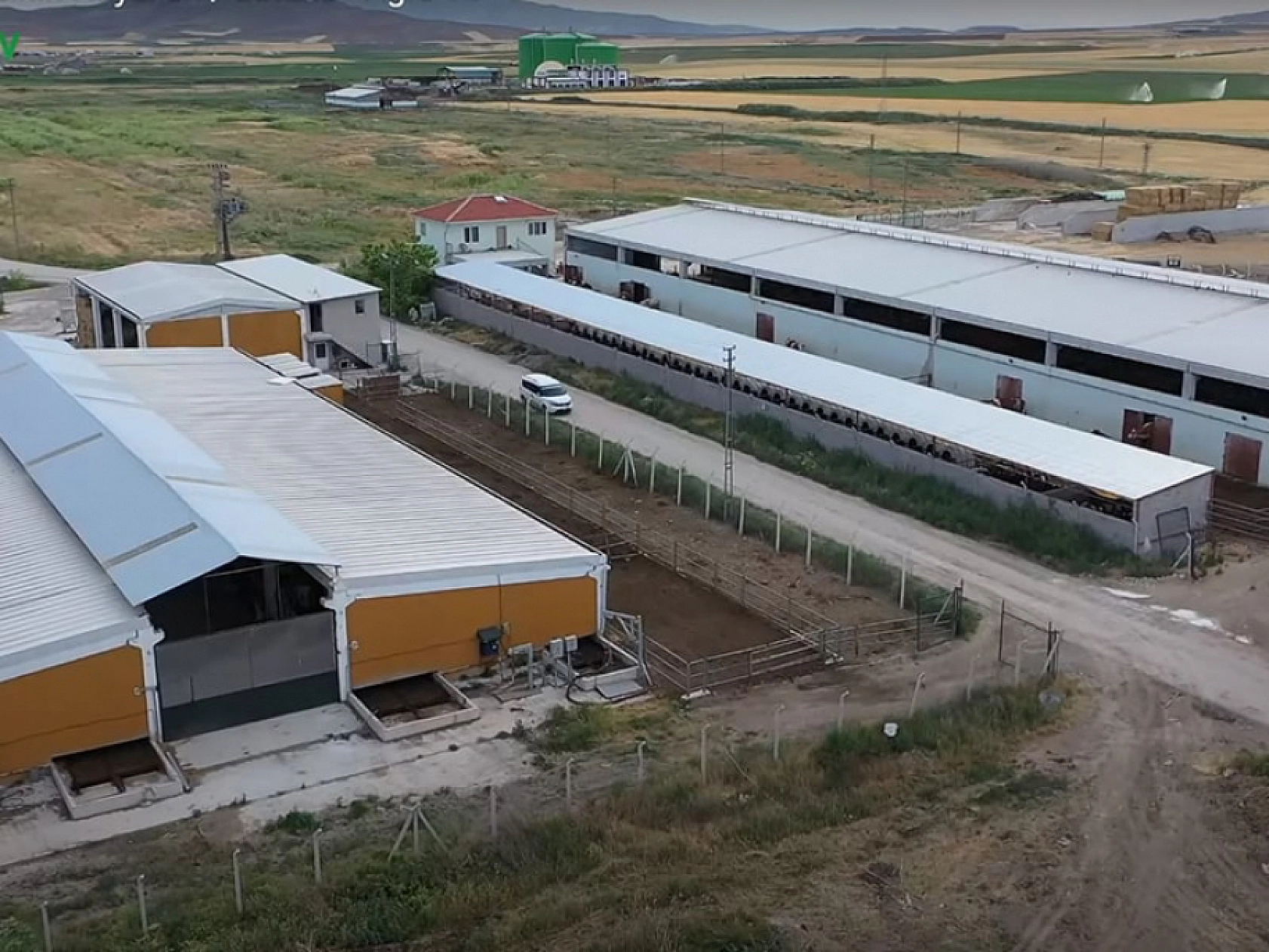 Malatya'da Hayvancılık Yeniden Canlanıyor…90 Milyon Euroluk Destek!