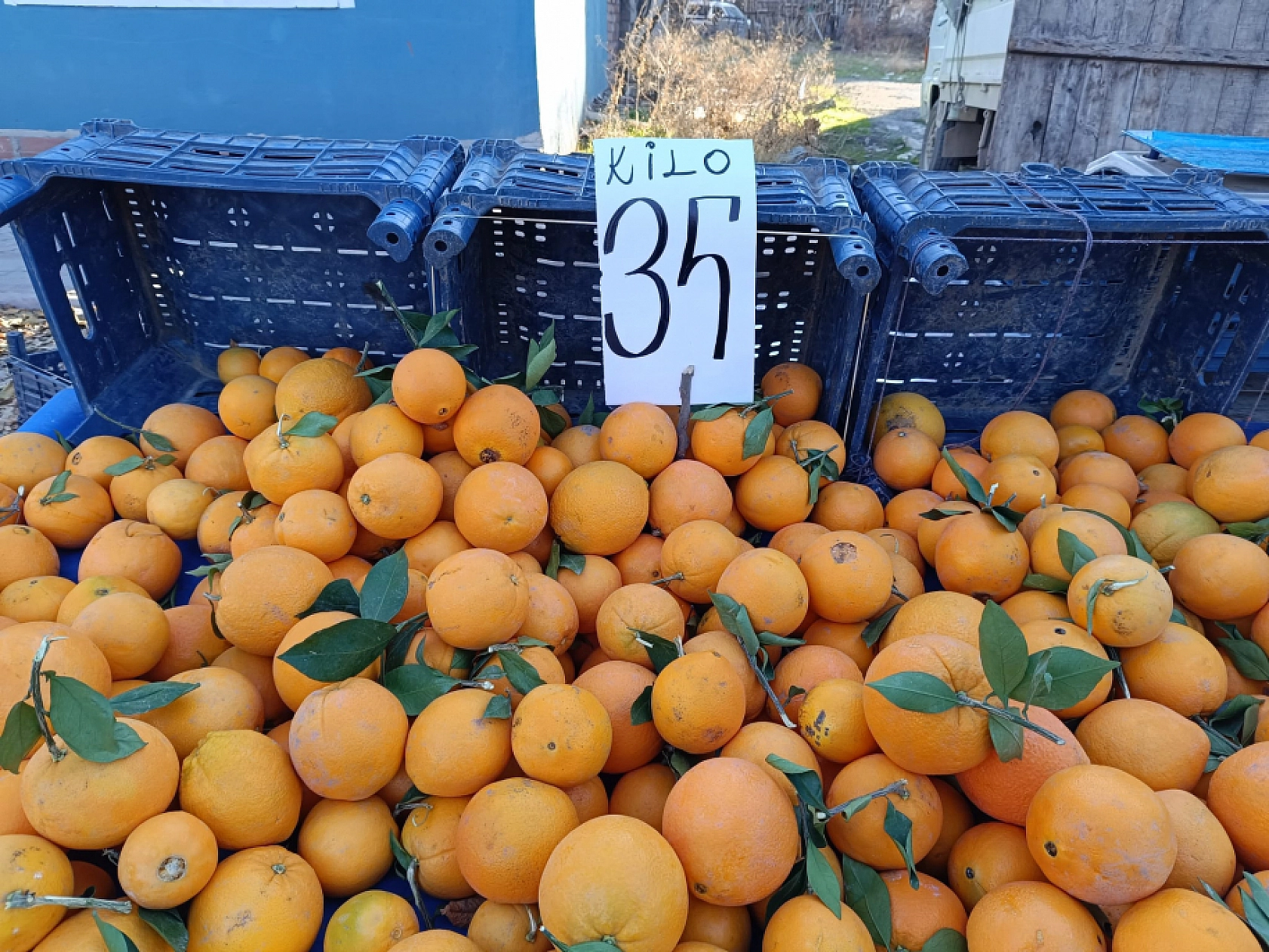 Malatya'da soğuk hava pazar fiyatını uçurdu: Domates, salatalık 50 lira…