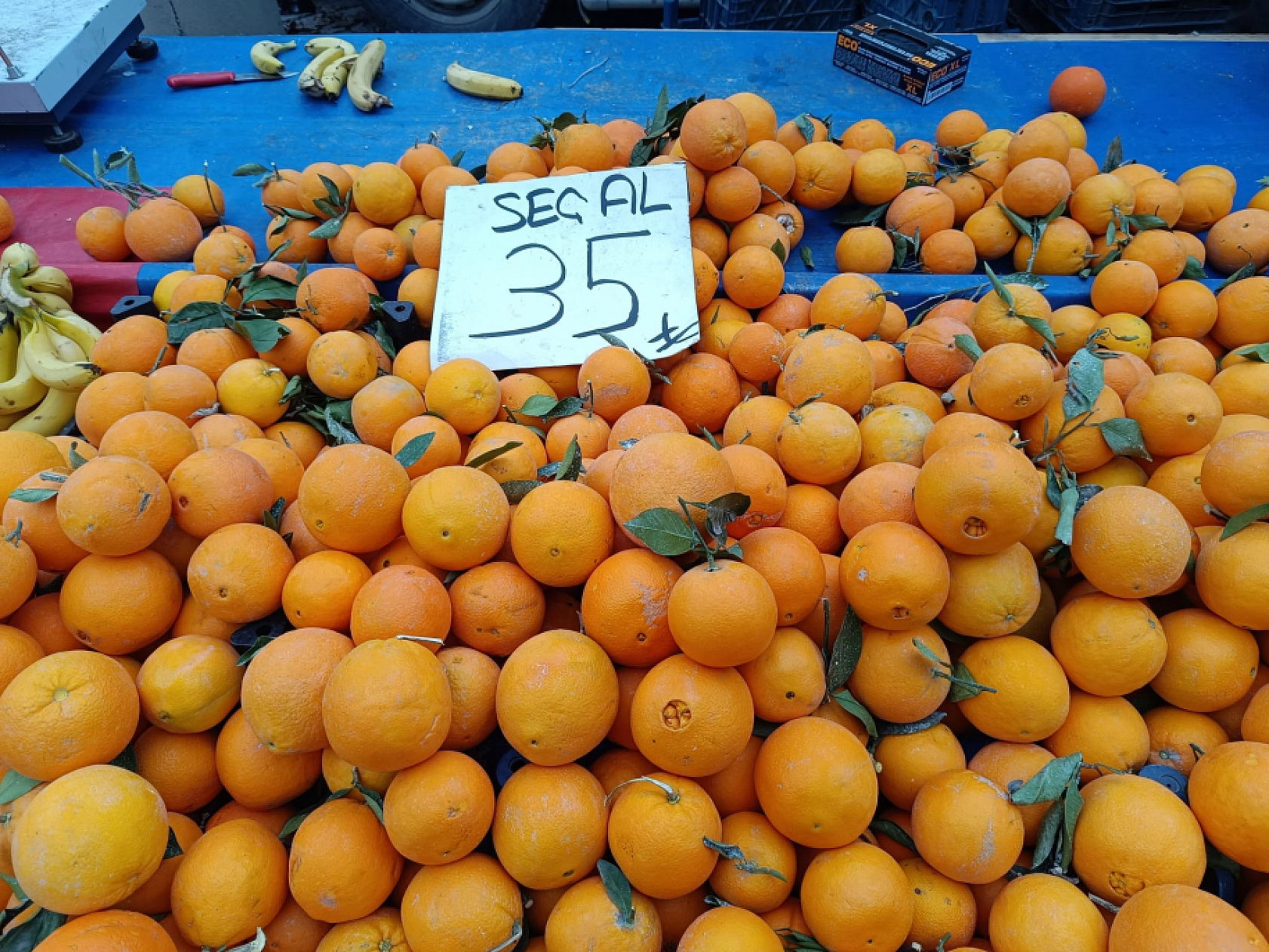 Malatya'da soğuk hava pazar fiyatını etkiledi: Sebze ve meyve cep yaktı!