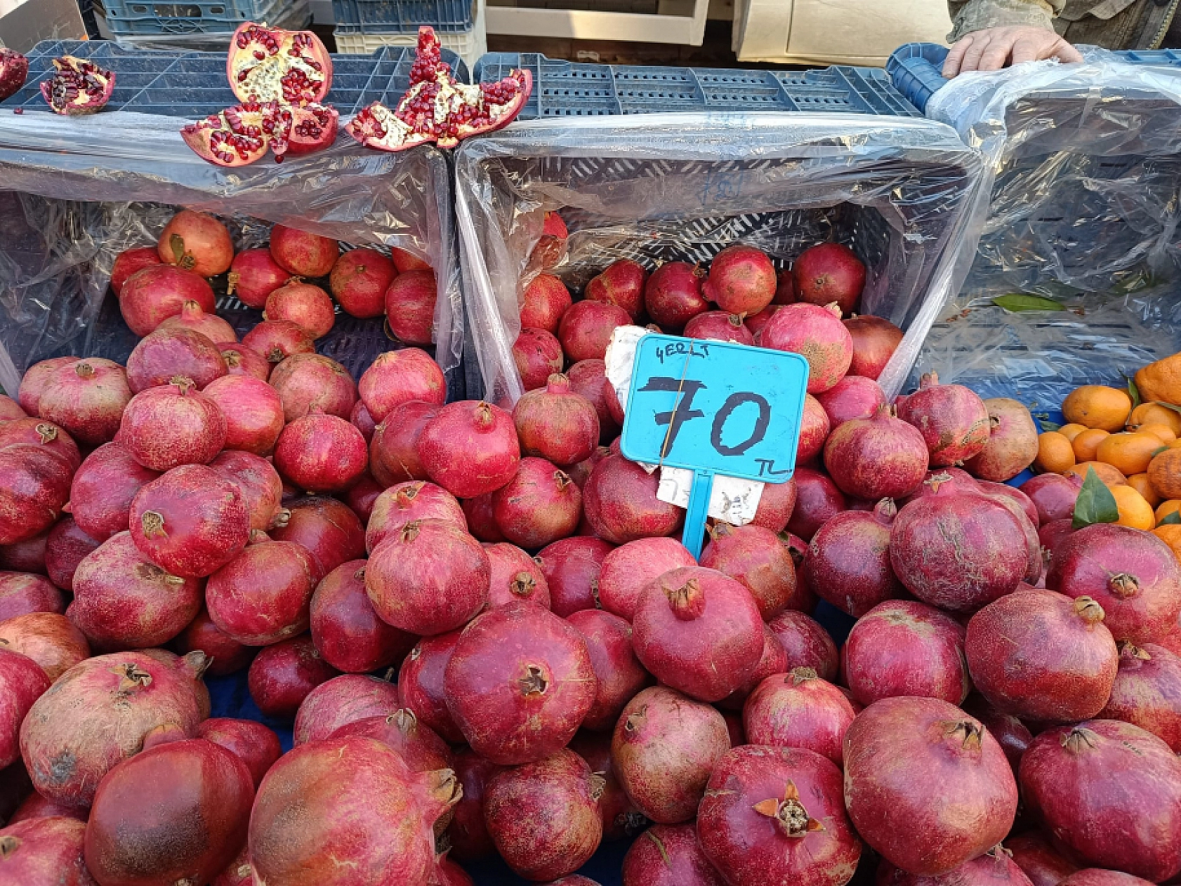 Malatya'da soğuk hava pazar fiyatını uçurdu: Domates, salatalık 50 lira…