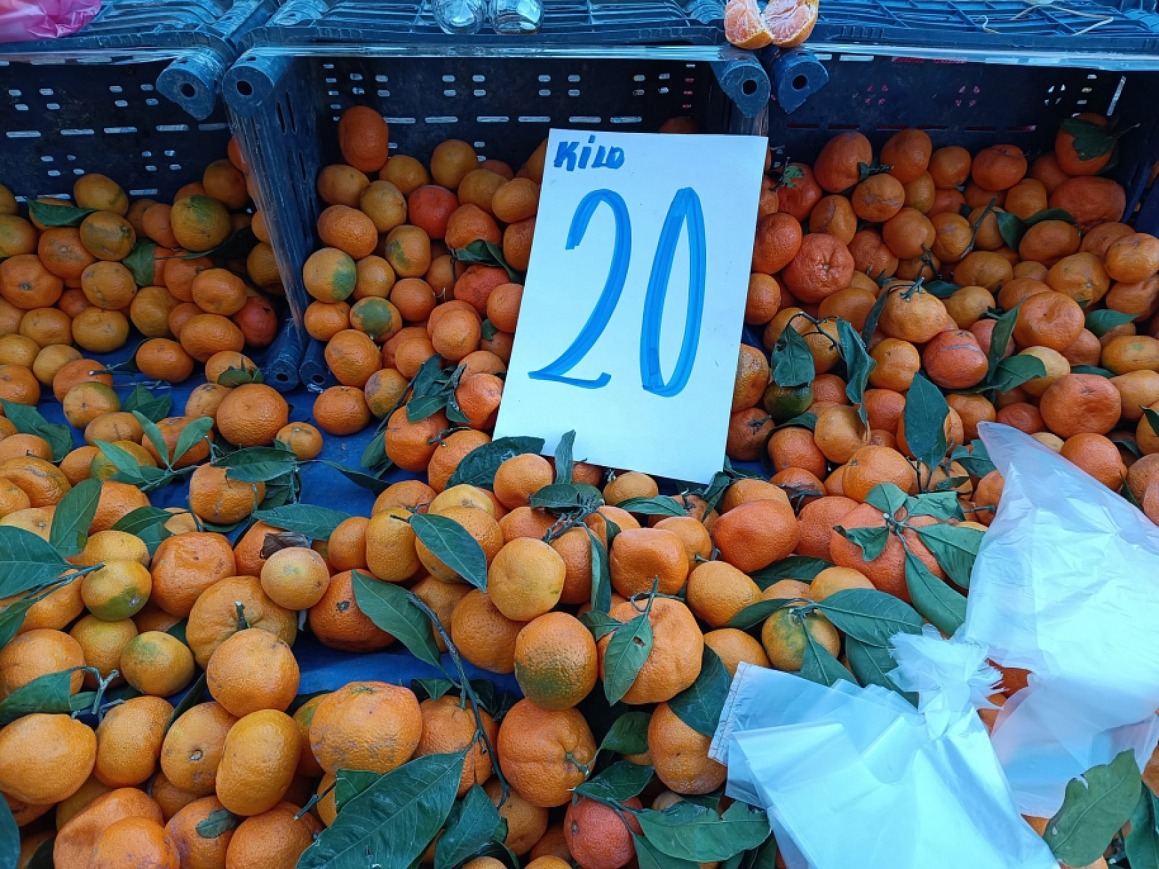 Malatya'da soğuk hava pazar fiyatını uçurdu: Domates, salatalık 50 lira…