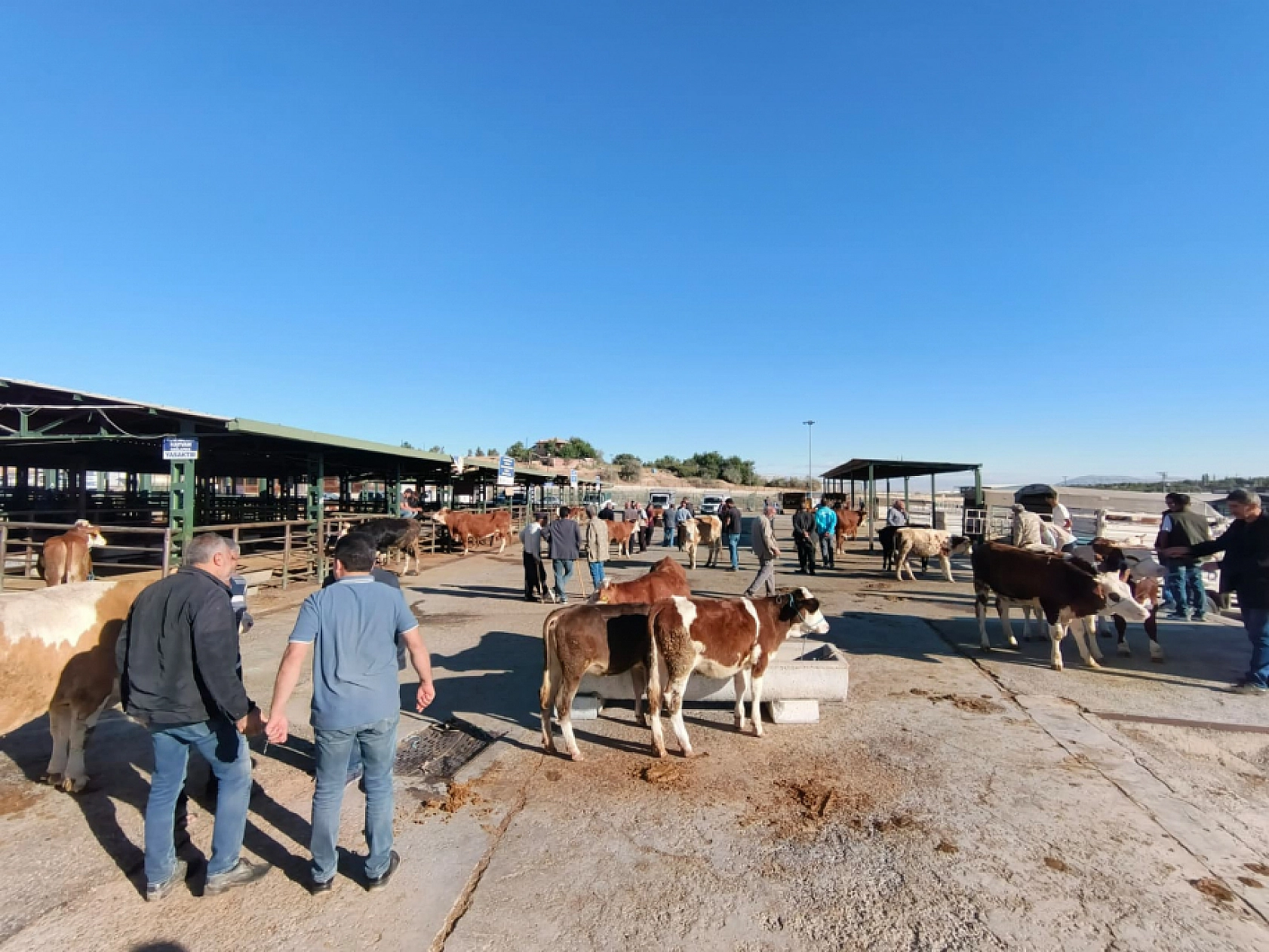 Malatya'da 80 gün sonra kapıları açıldı!