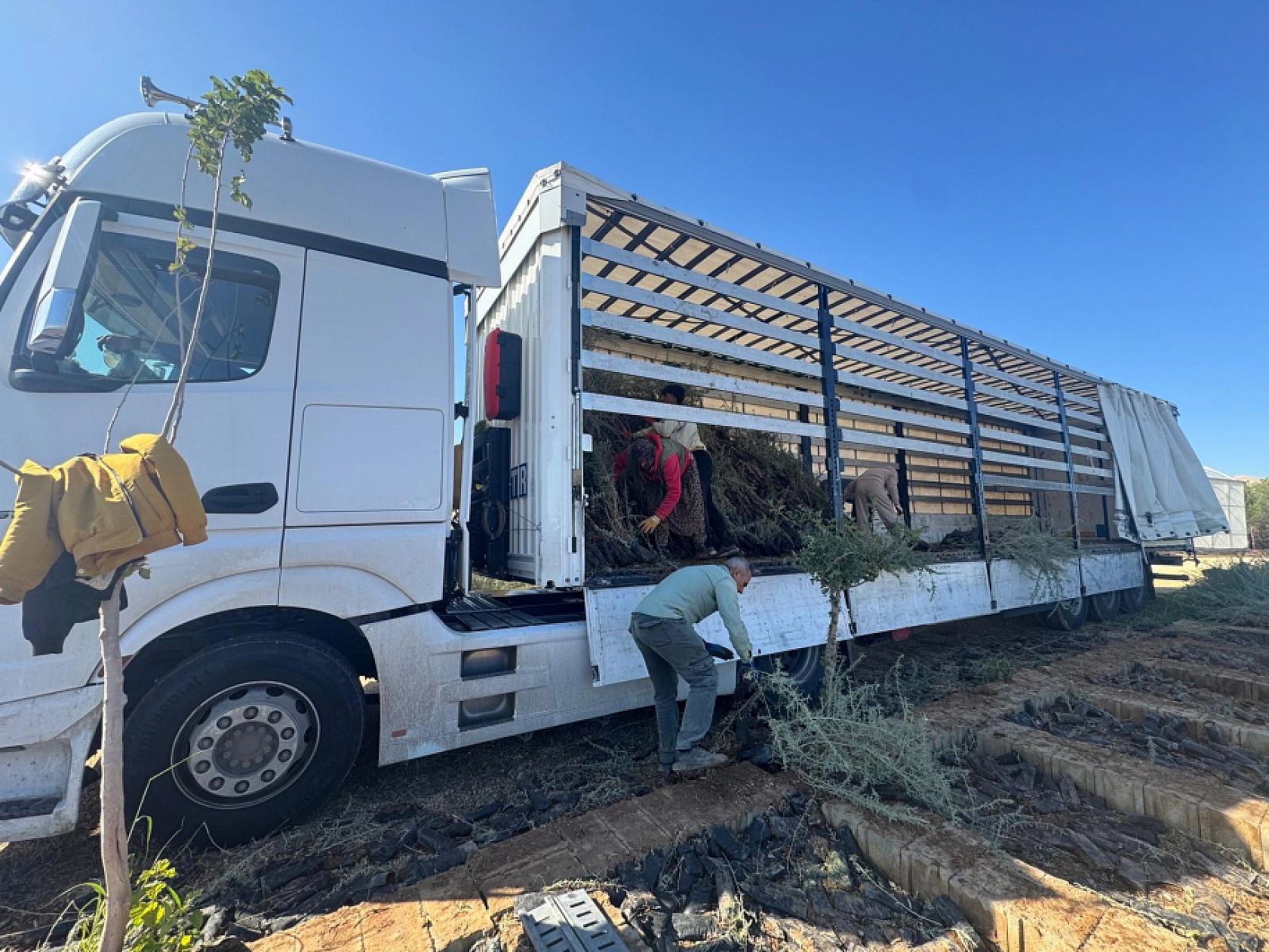 Dünya Bankası Desteğiyle Mardin'de Üretildi! Malatya'da Meralara Can Katacak...