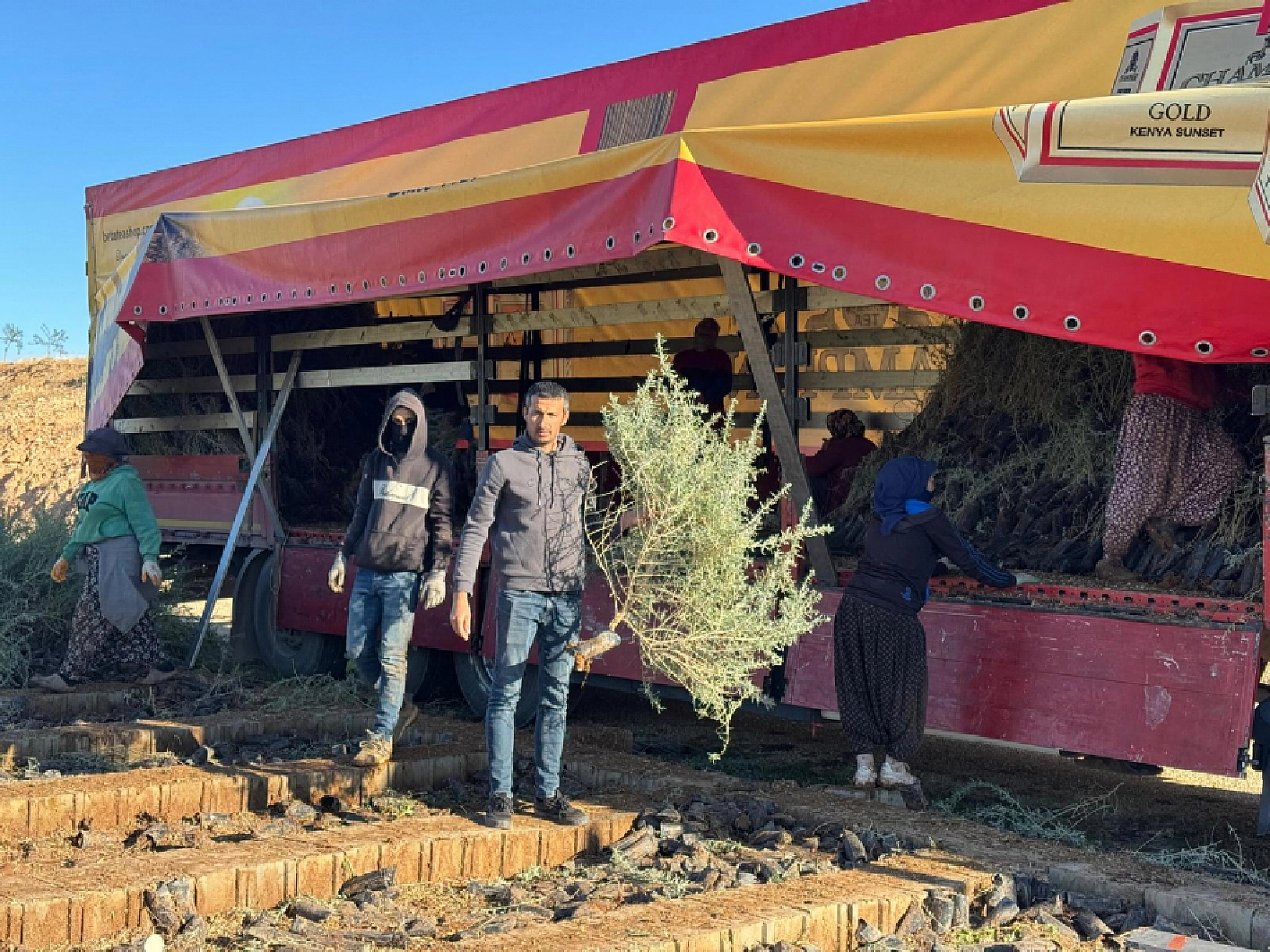 Dünya Bankası Desteğiyle Mardin'de Üretildi! Malatya'da Meralara Can Katacak...