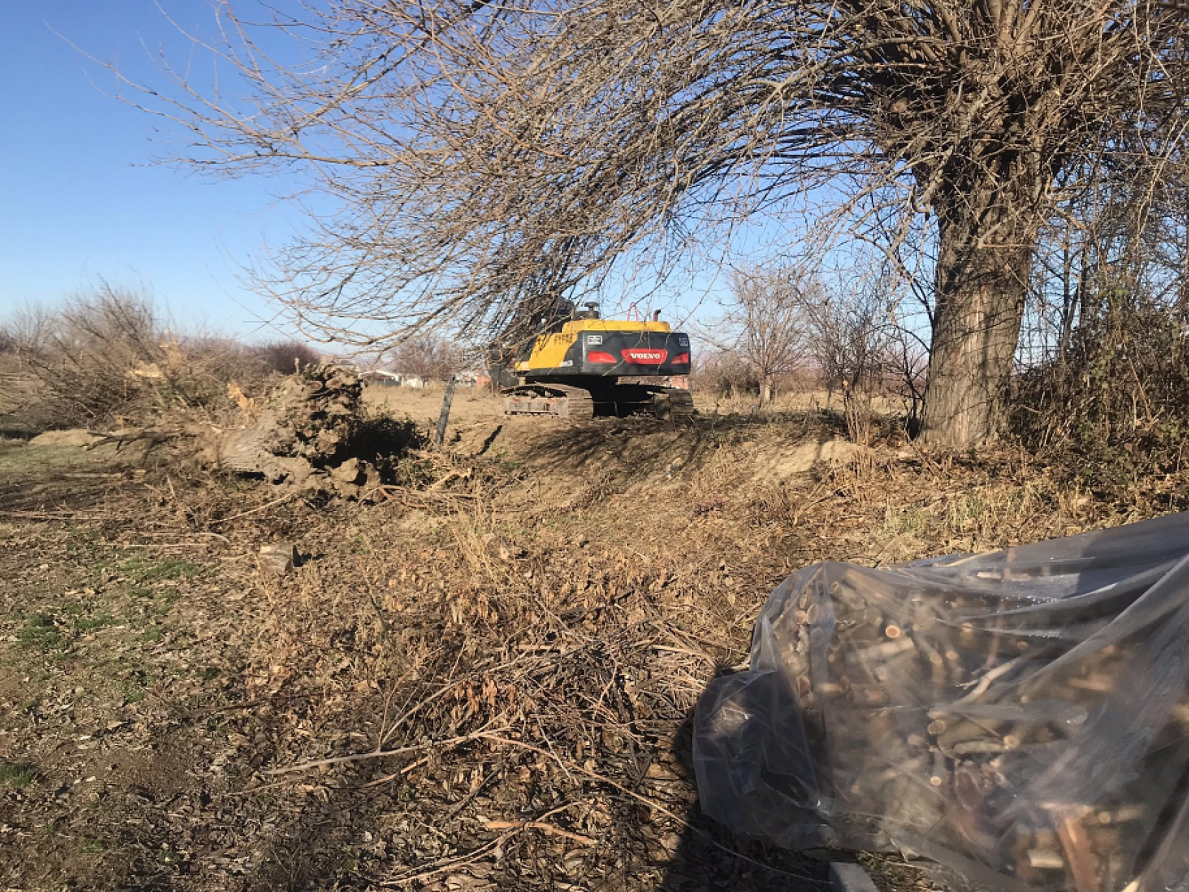 Malatya'da Ağaç Katliamı: DSİ'nin Bahanesi Yol!
