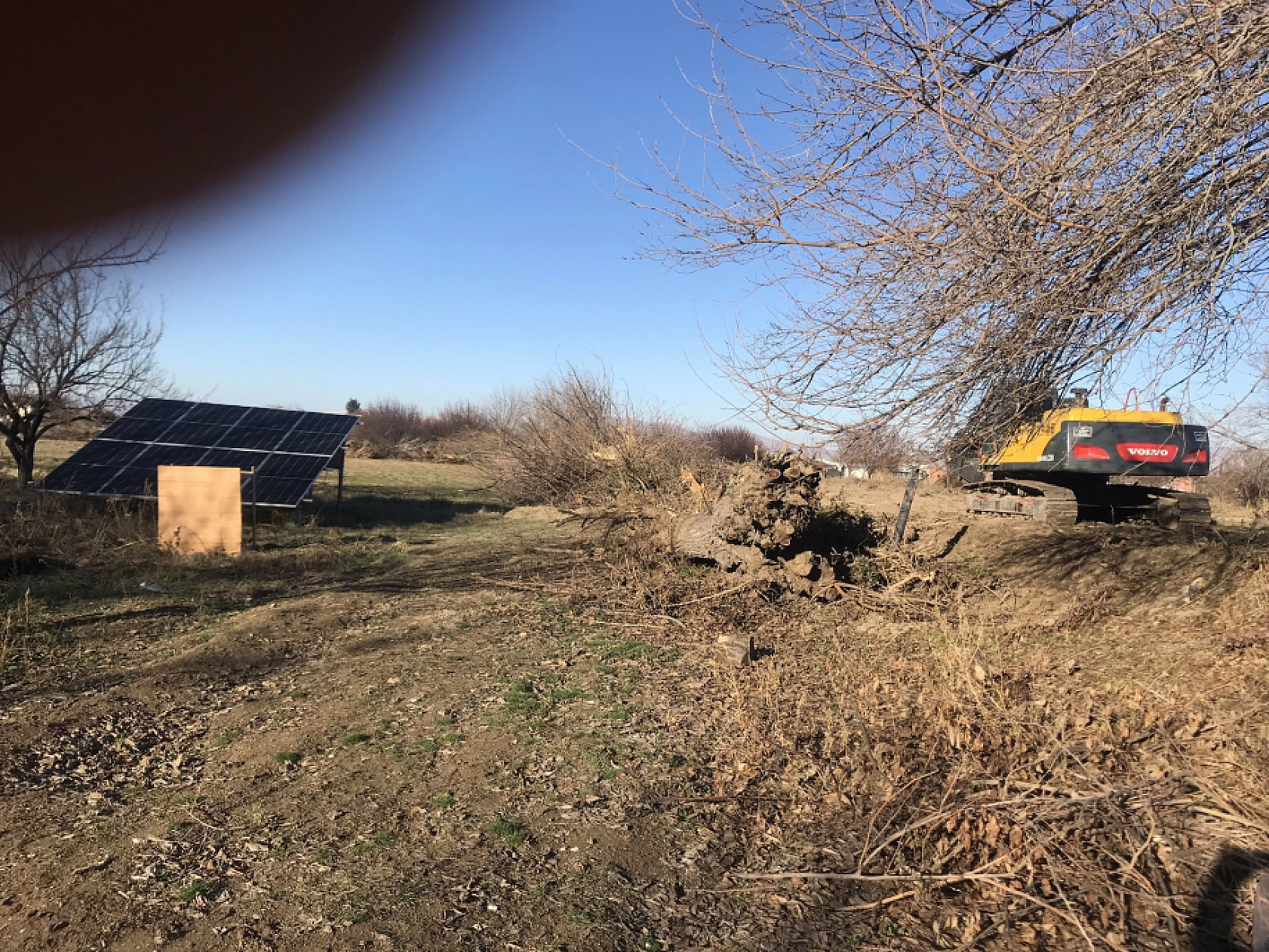 Malatya'da Ağaç Katliamı: DSİ'nin Bahanesi Yol!