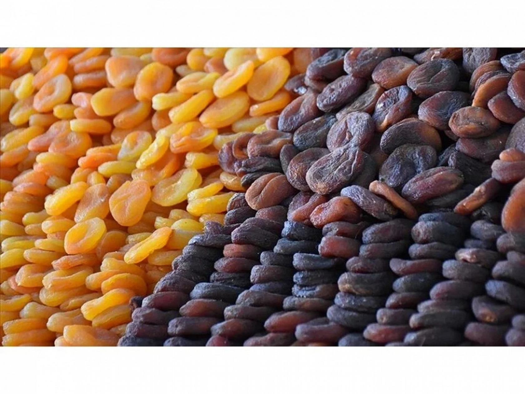 İklim Değişikliği Kayısıyı Olumsuz Etkileyecek: Coğrafi İşaret Gidebilir!