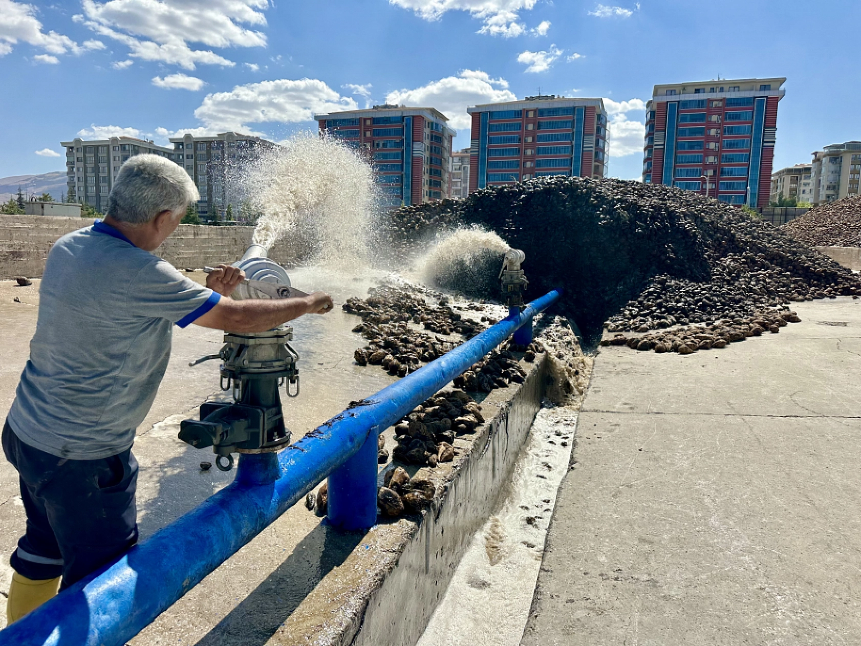 Kayısından yüzü gülmeyen üreticinin imdadına yetişti: Malatya için büyük nimet!
