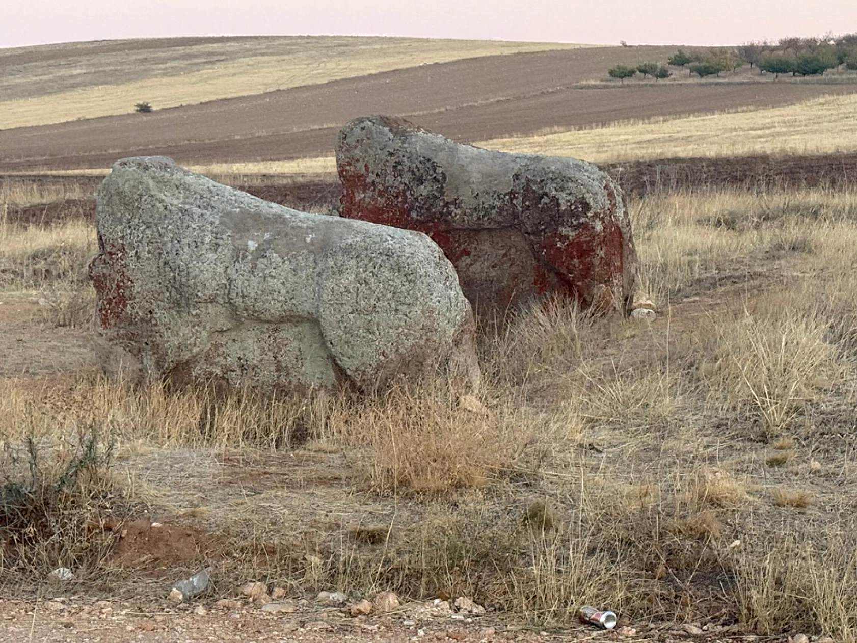 Malatya'da tartışma yaratan karar iptal edildi: Tarihi miras yerinde kalacak!