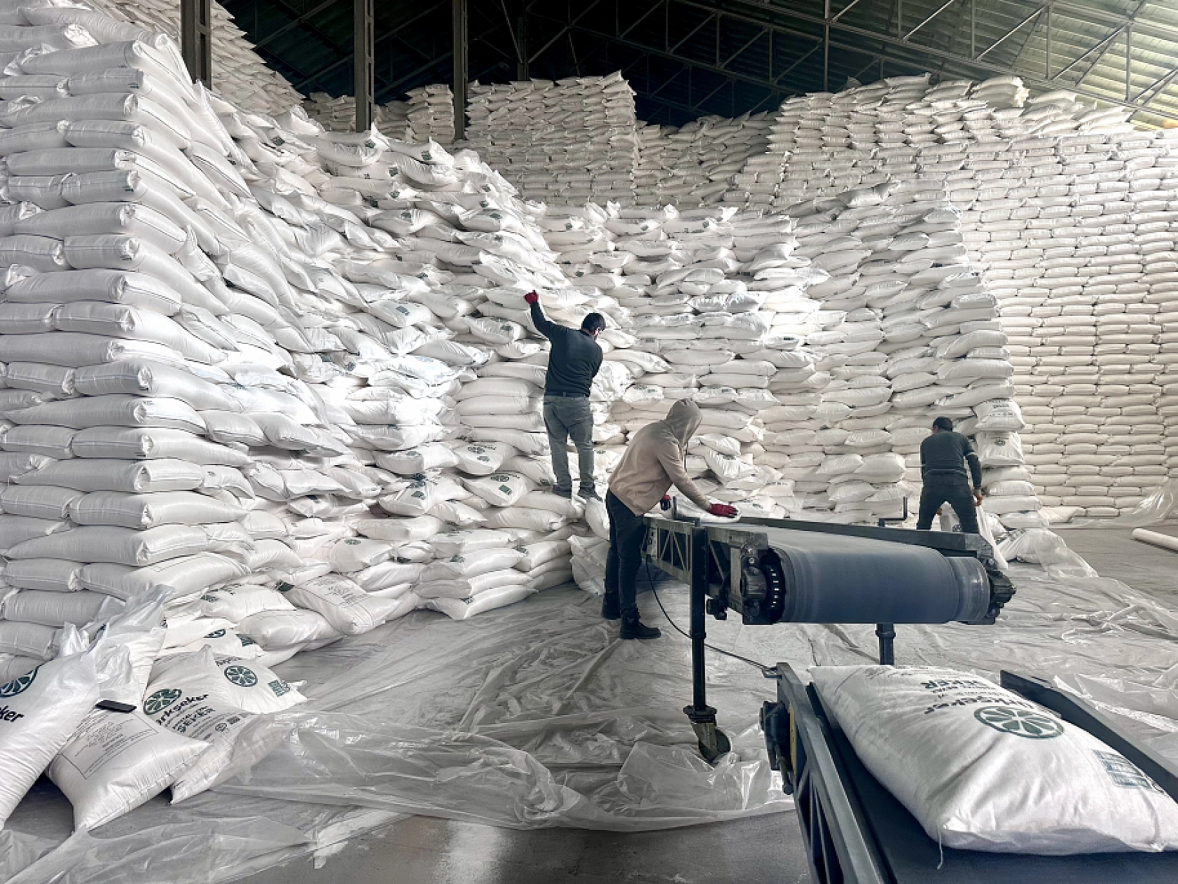 Kayısıda hayal kırıklığı yaşayan çiftçi pancarda teselli buldu!