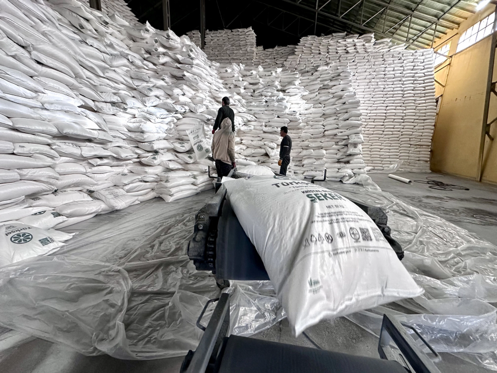 Kayısıda hayal kırıklığı yaşayan çiftçi pancarda teselli buldu!