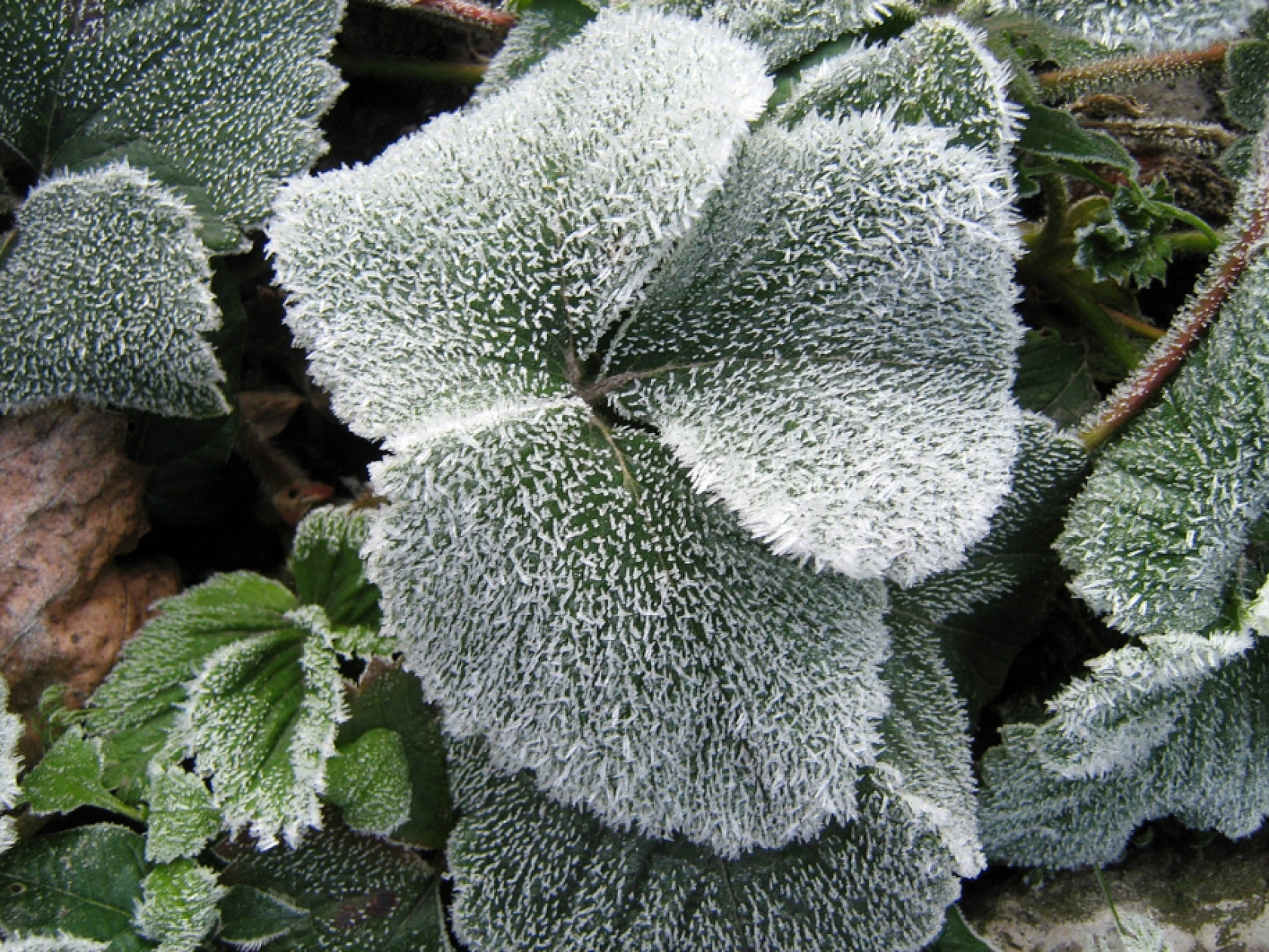 Malatya'da Hava Durumu! 06 Kasım'da Nasıl Olacak....