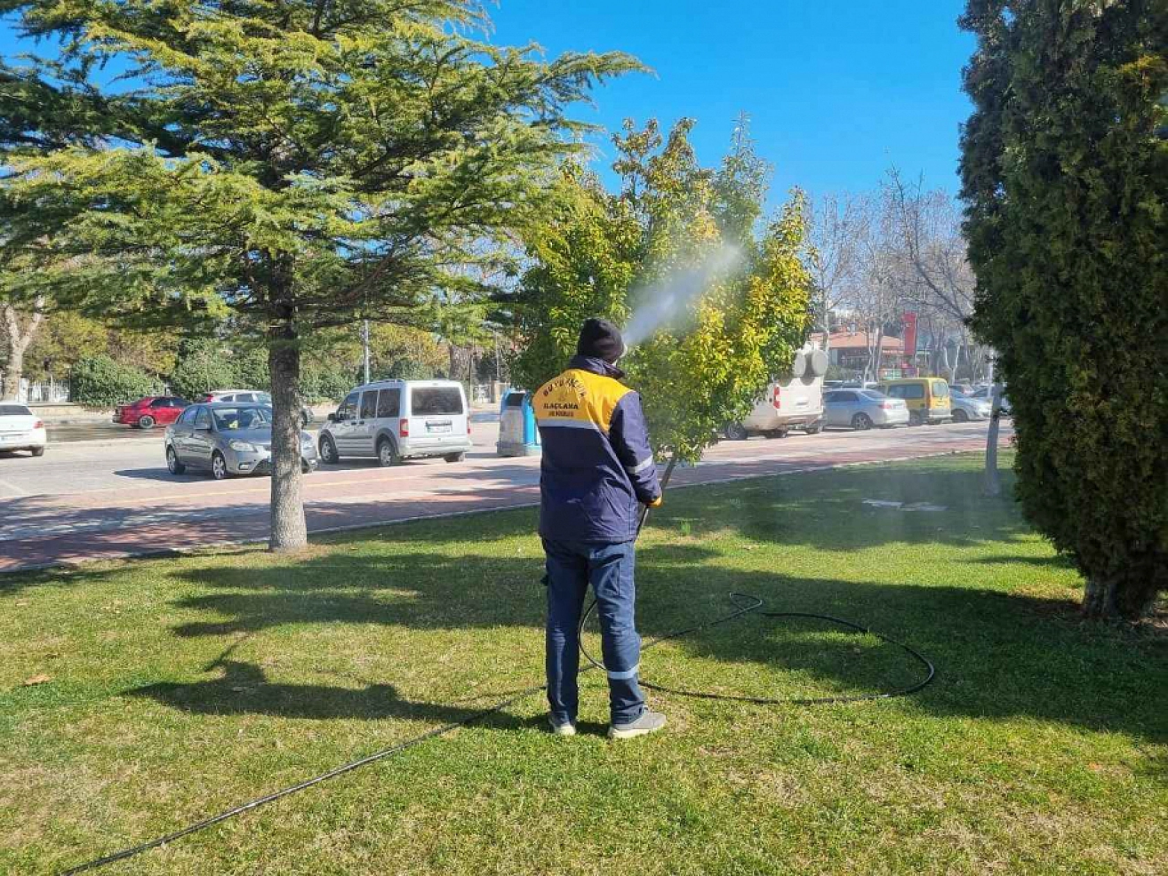 Sivrisinek alarmı: Malatya'da sıcaklıklar başladı, çile katlandı!