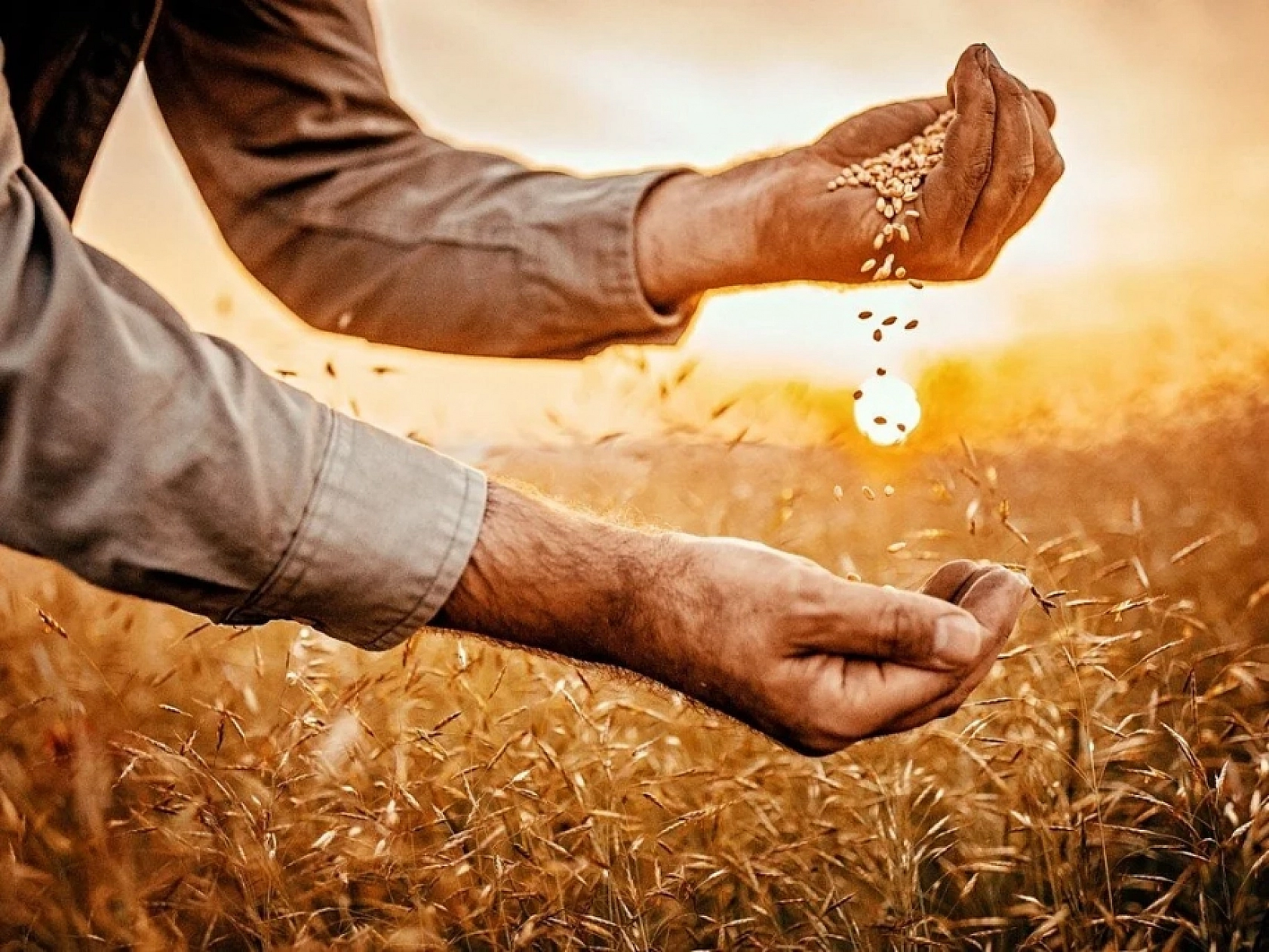 Malatyalı Vatandaşa Can Suyu: 116 Milyon TL'lik Destekleme Ödemesi Yapıldı