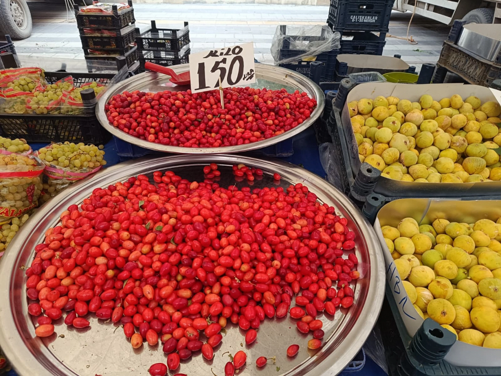 Malatya'da sebze ucuzladı, alışveriş torbaları doldu!