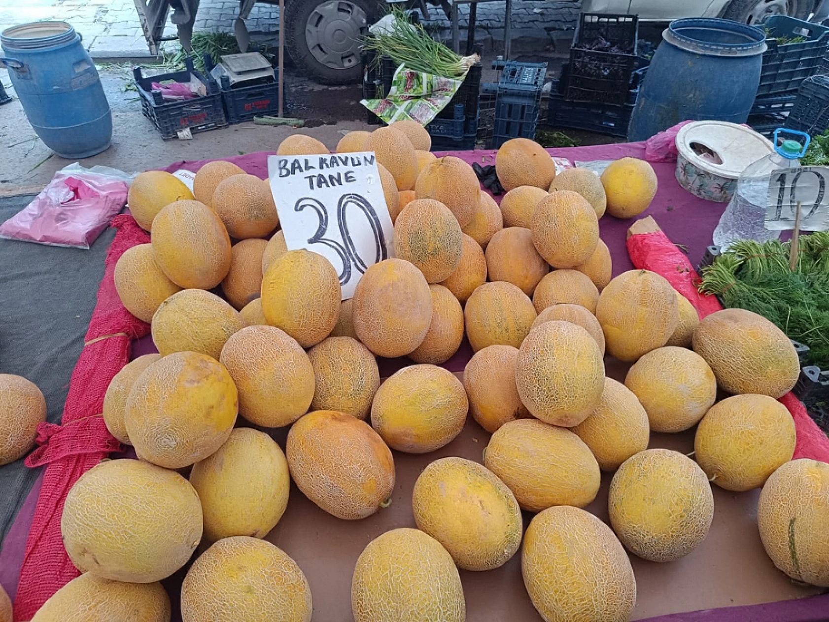 Malatya'da sebze ucuzladı, alışveriş torbaları doldu!