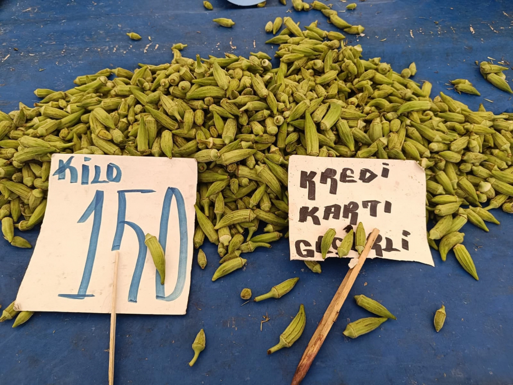 Malatya'da sebze ucuzladı, alışveriş torbaları doldu!