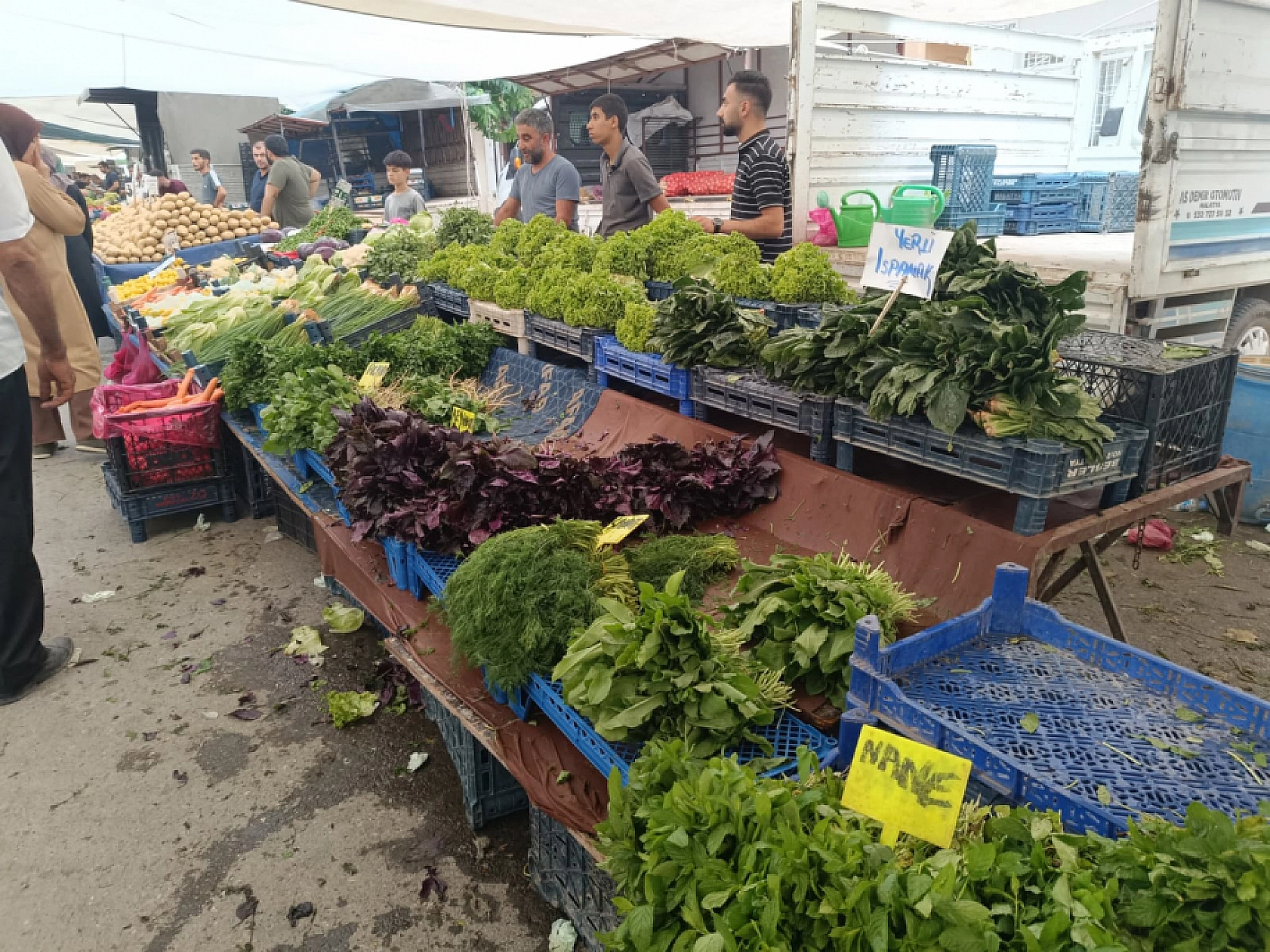 Malatya'da sebze ucuzladı, alışveriş torbaları doldu!